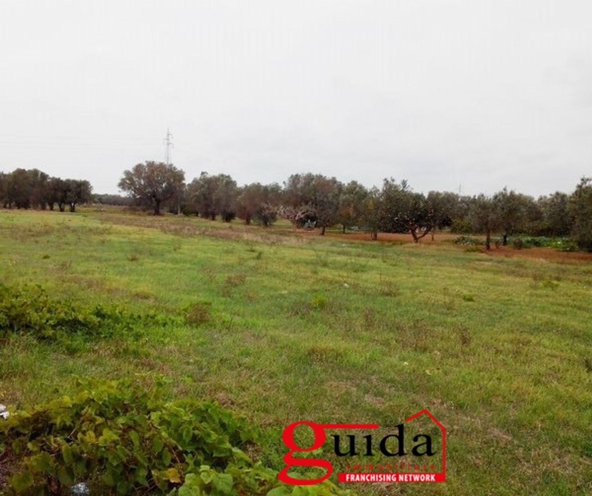 Tierra en Matiño, Apulia 10697008