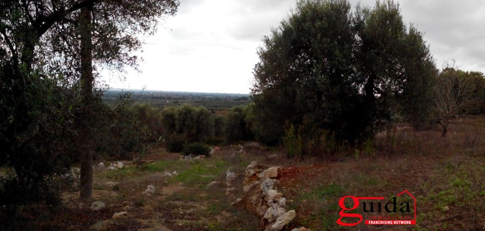 Land in Ruffano, Puglia 10697013