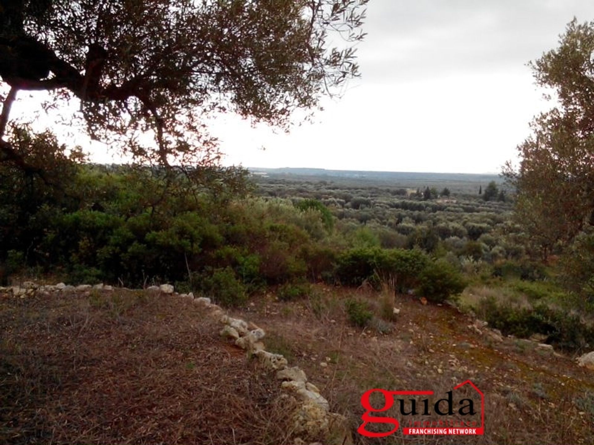 Land in Ruffano, Puglia 10697013