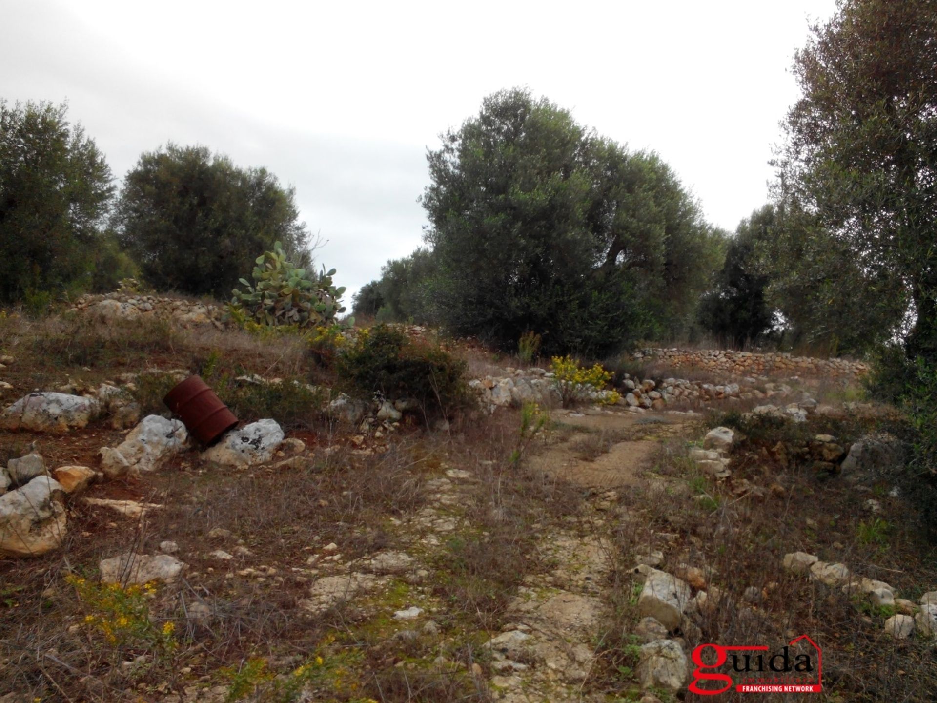 Land in Ruffano, Puglia 10697013