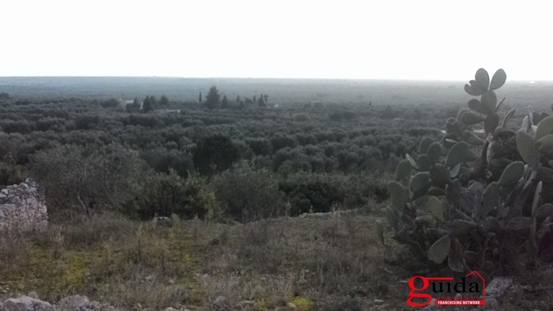 Tierra en Ruffano, Apulia 10697013