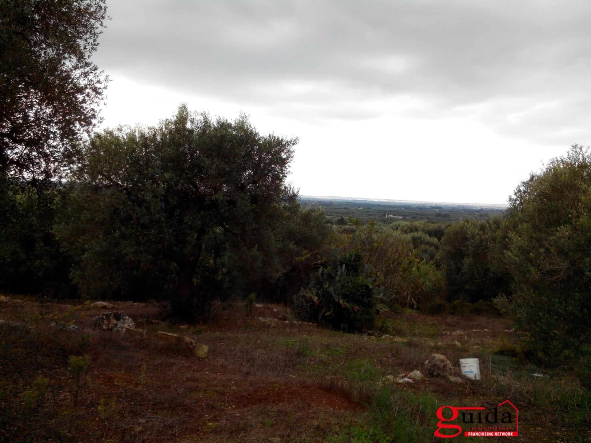 Tierra en ruffano, Apulia 10697013