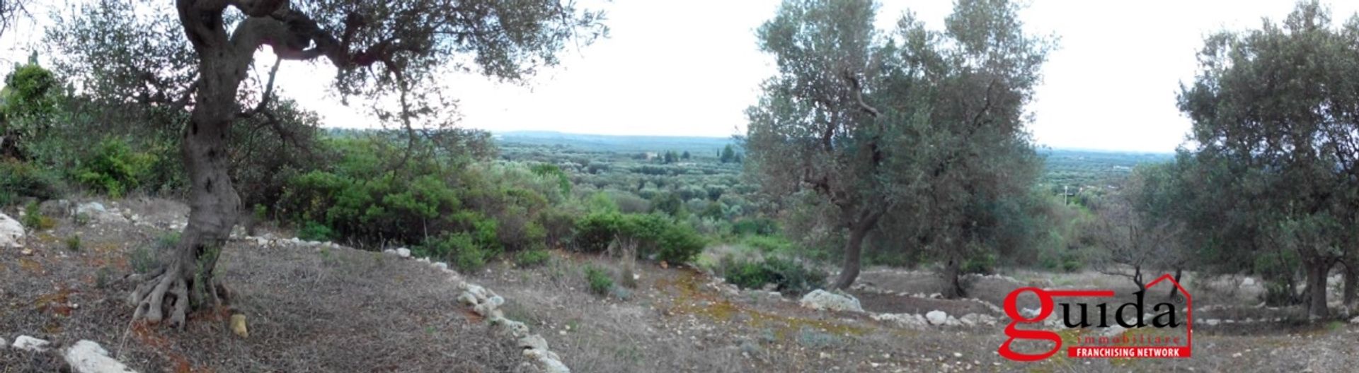 Tierra en Ruffano, Apulia 10697013