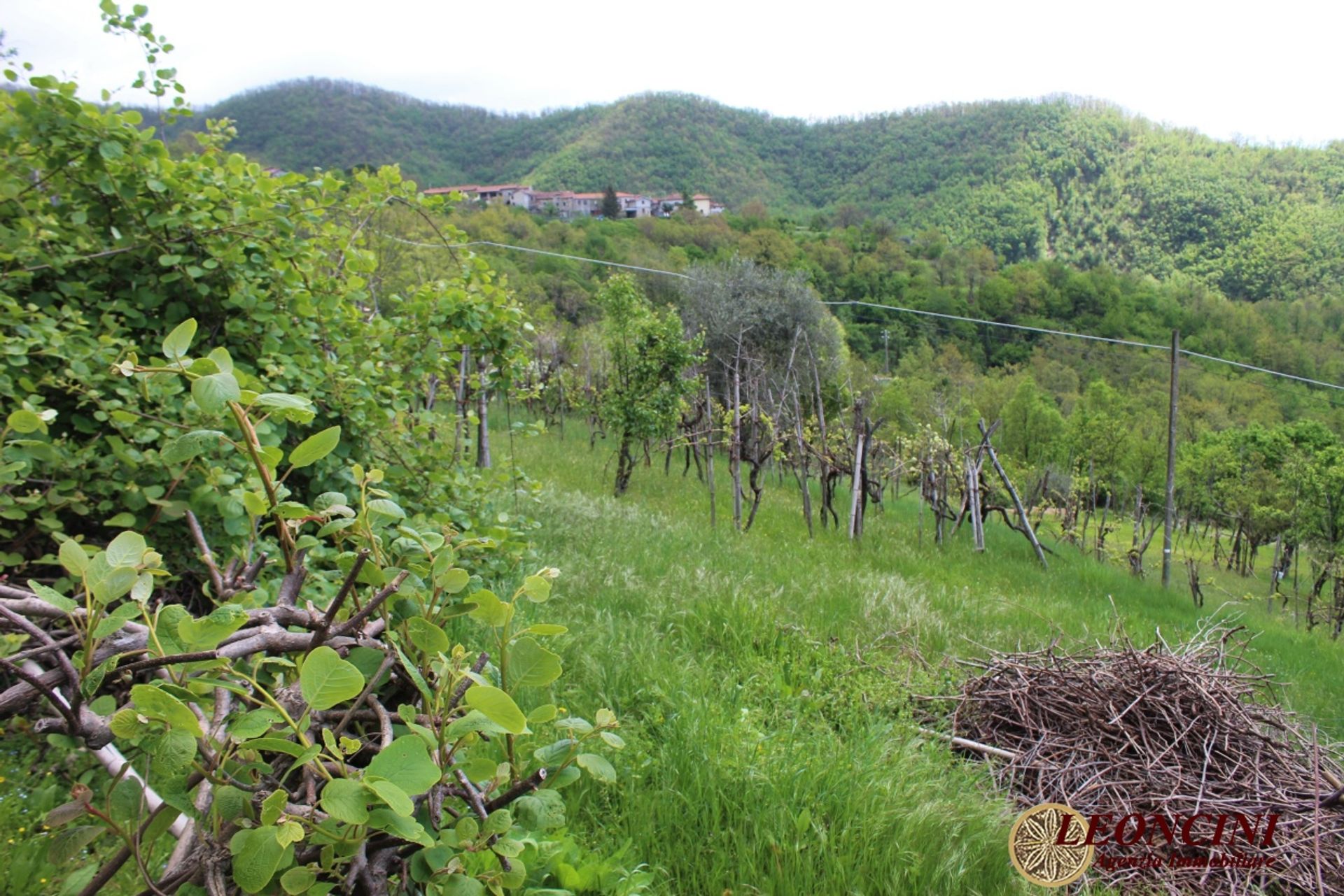 casa no Filattiera, Toscana 10697211