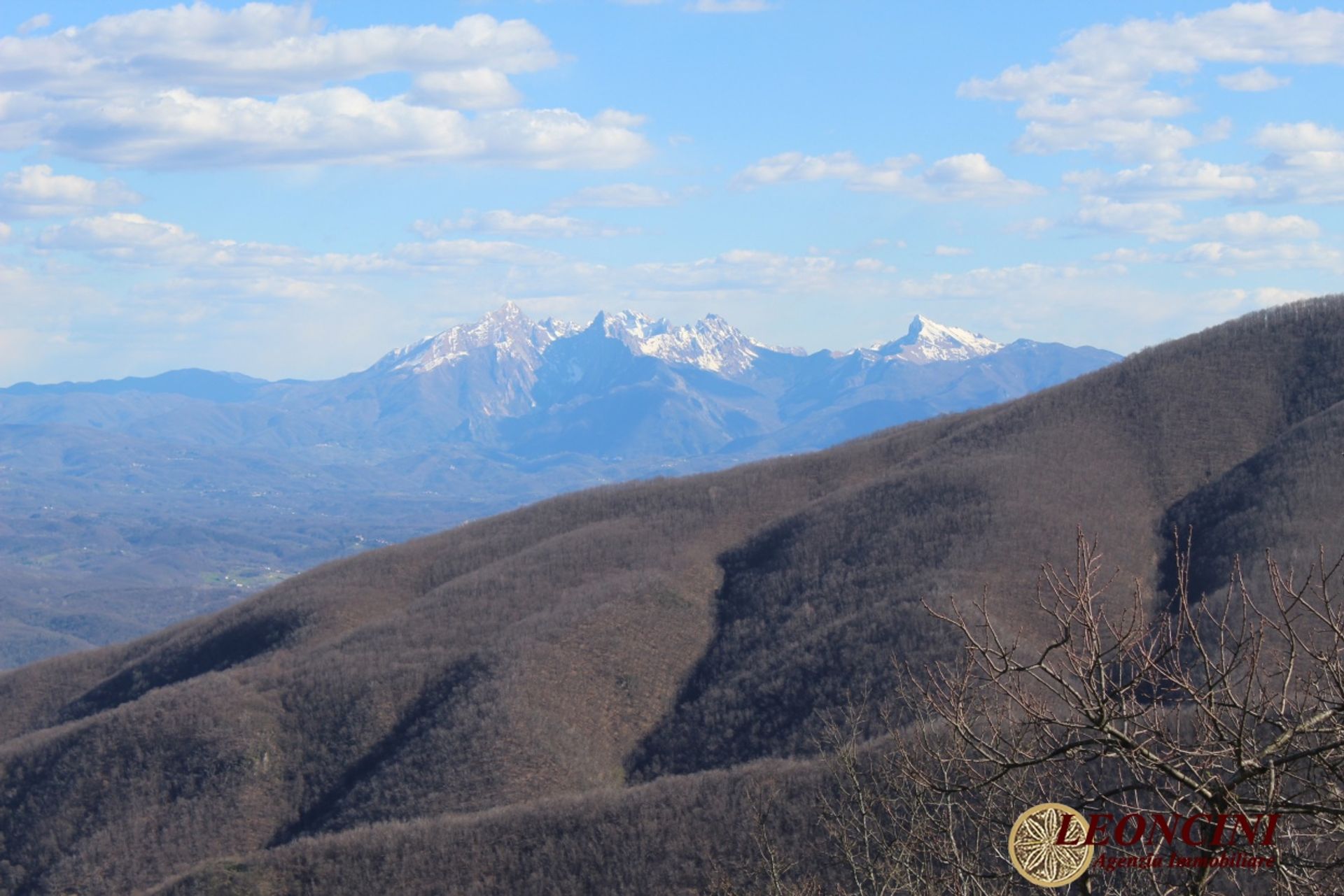 صناعي في Mulazzo, Tuscany 10697219