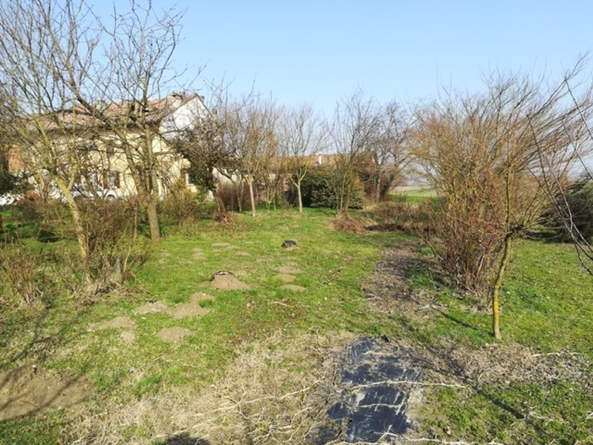 House in Casei Gerola, Piedmont 10697234