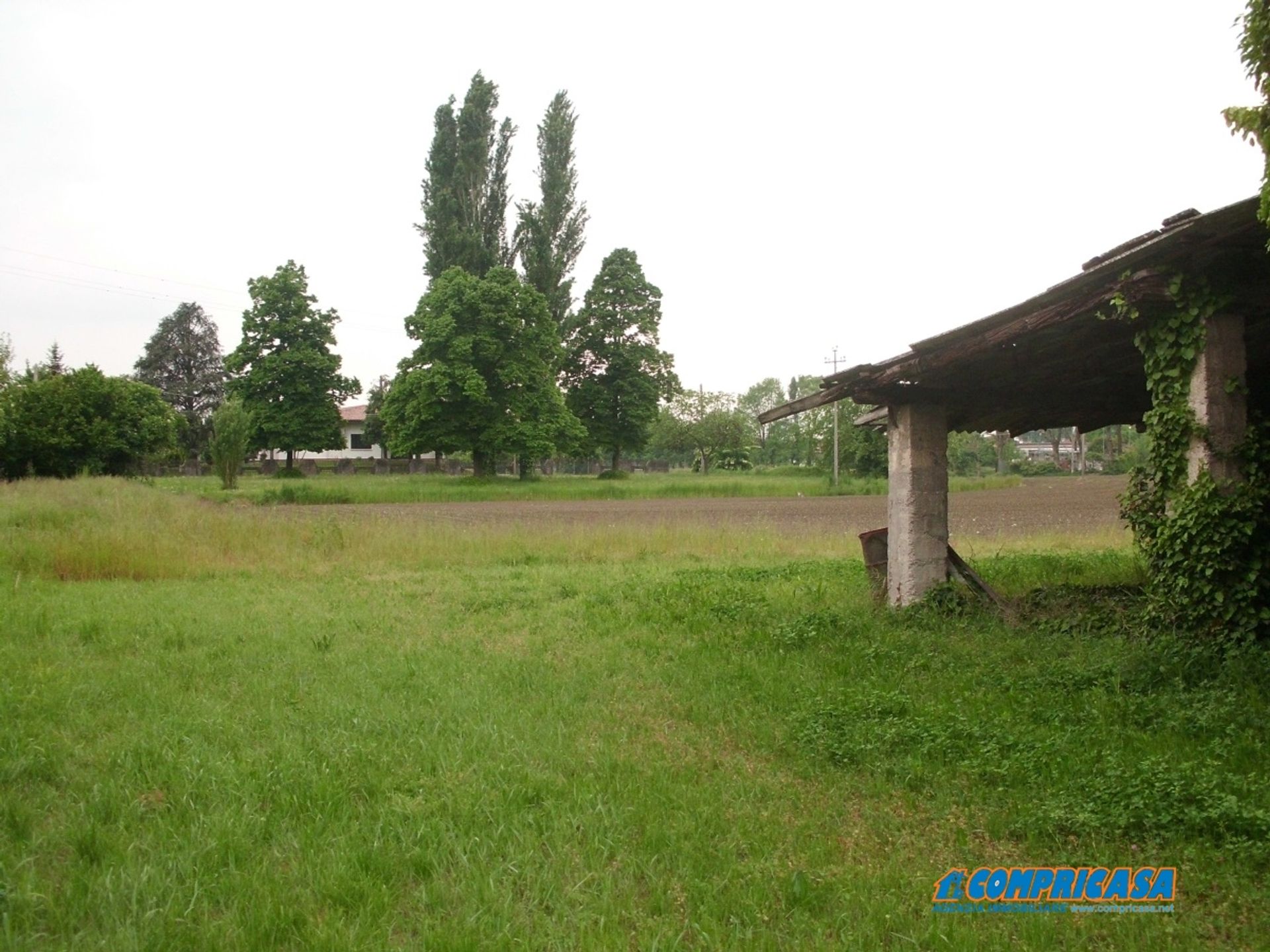 Terra no Veneza, Vêneto 10697464