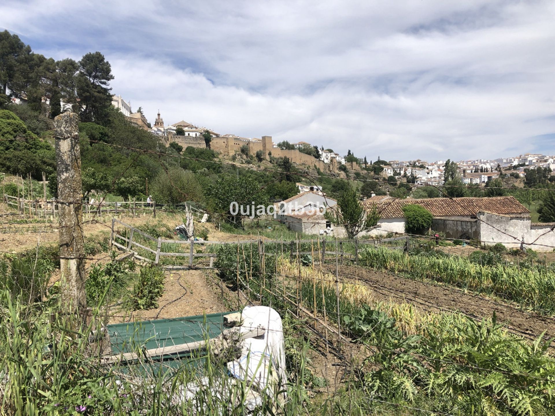 آخر في Ronda, Andalusia 10697560