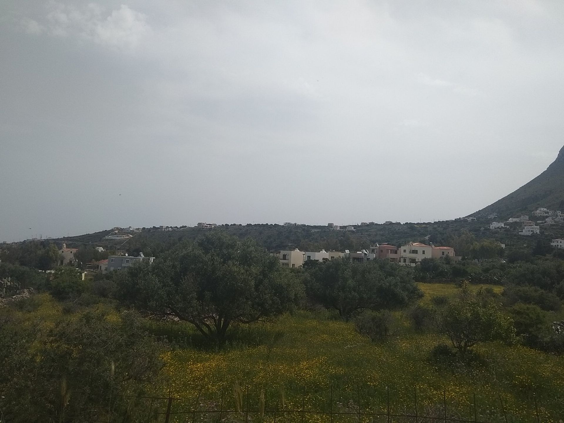 Land in Kefalas, Kriti 10697596