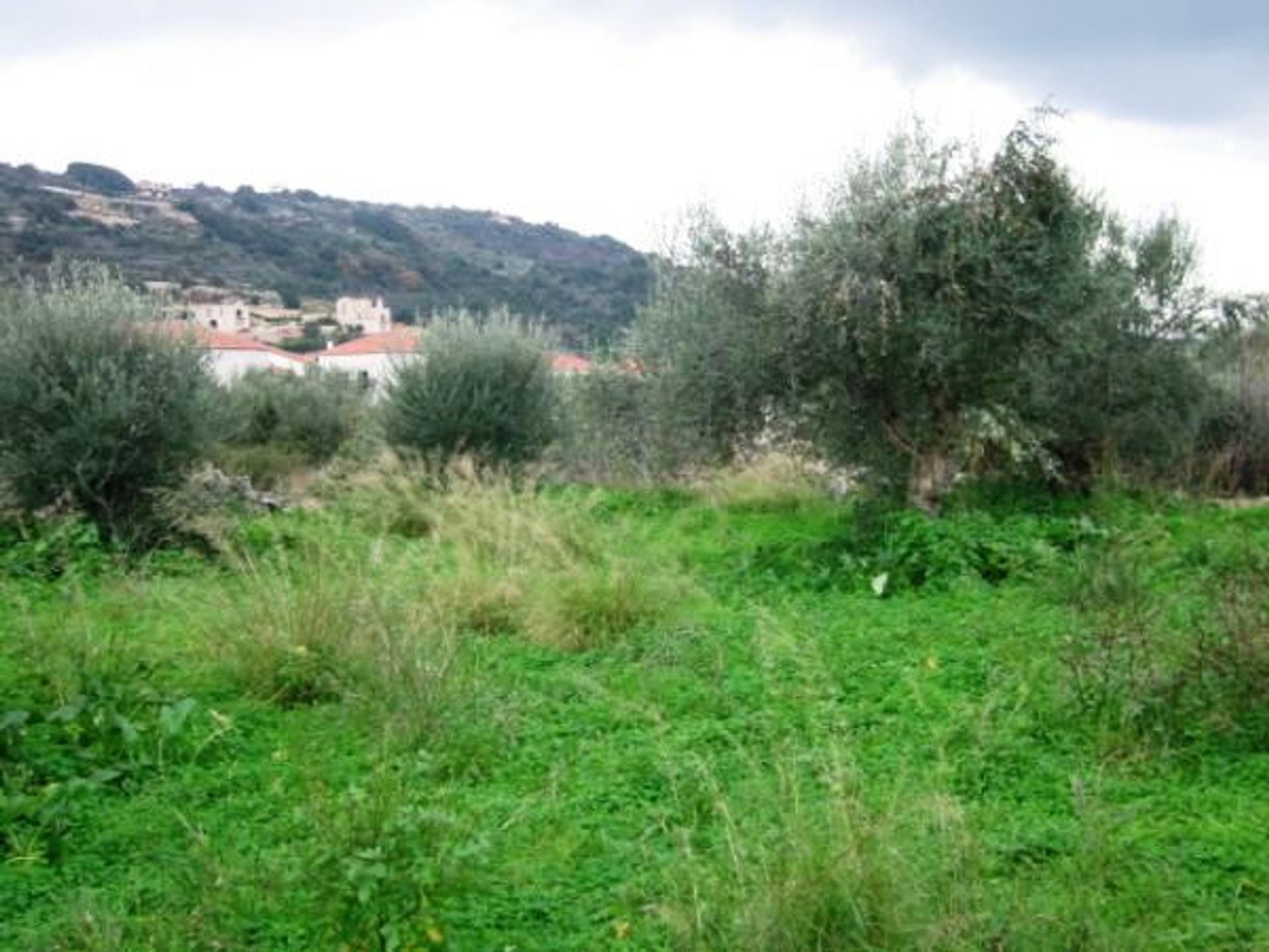 Land i Kefalas, Kriti 10697598