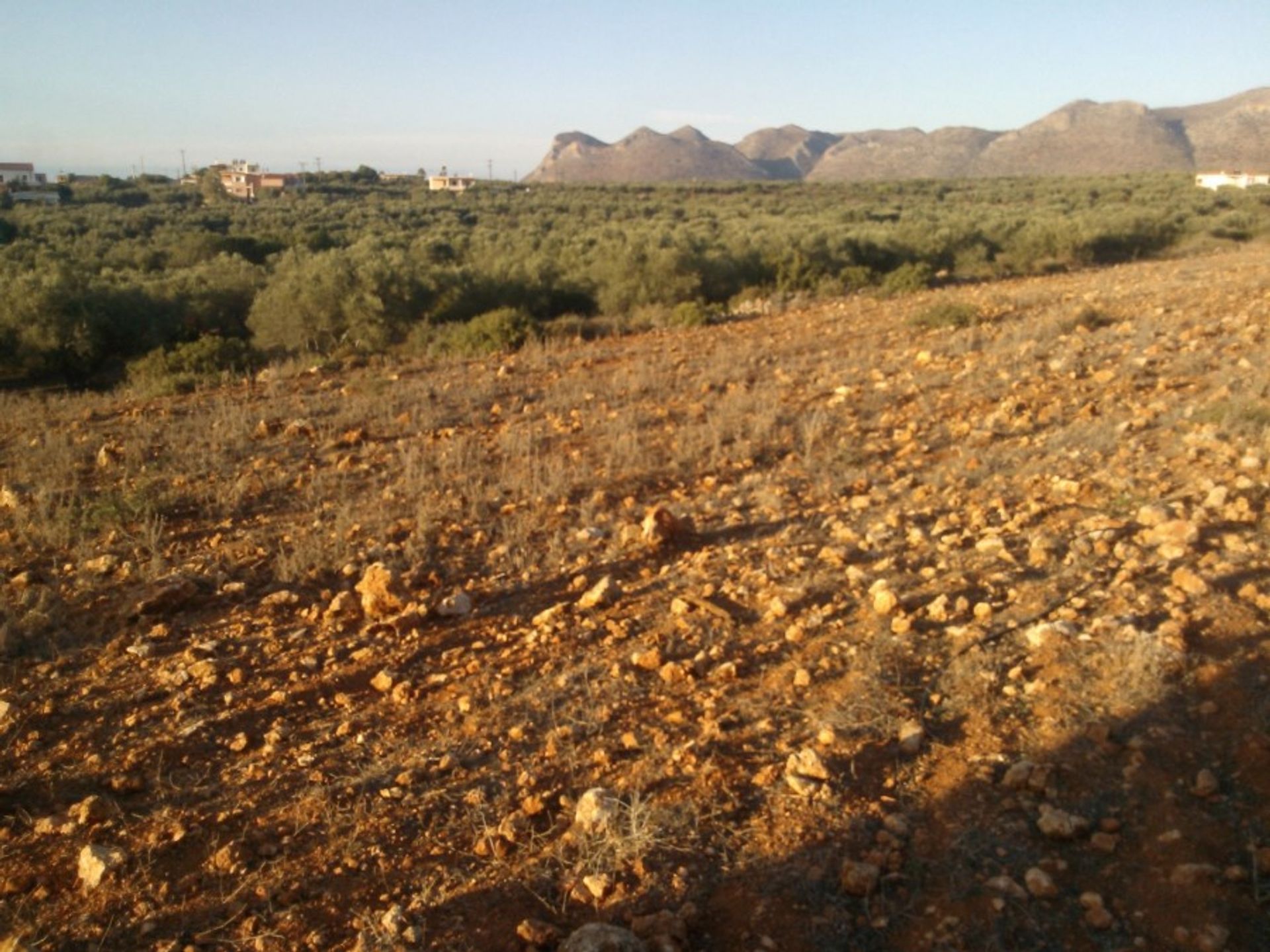 Land in Chorafakia,  10697599