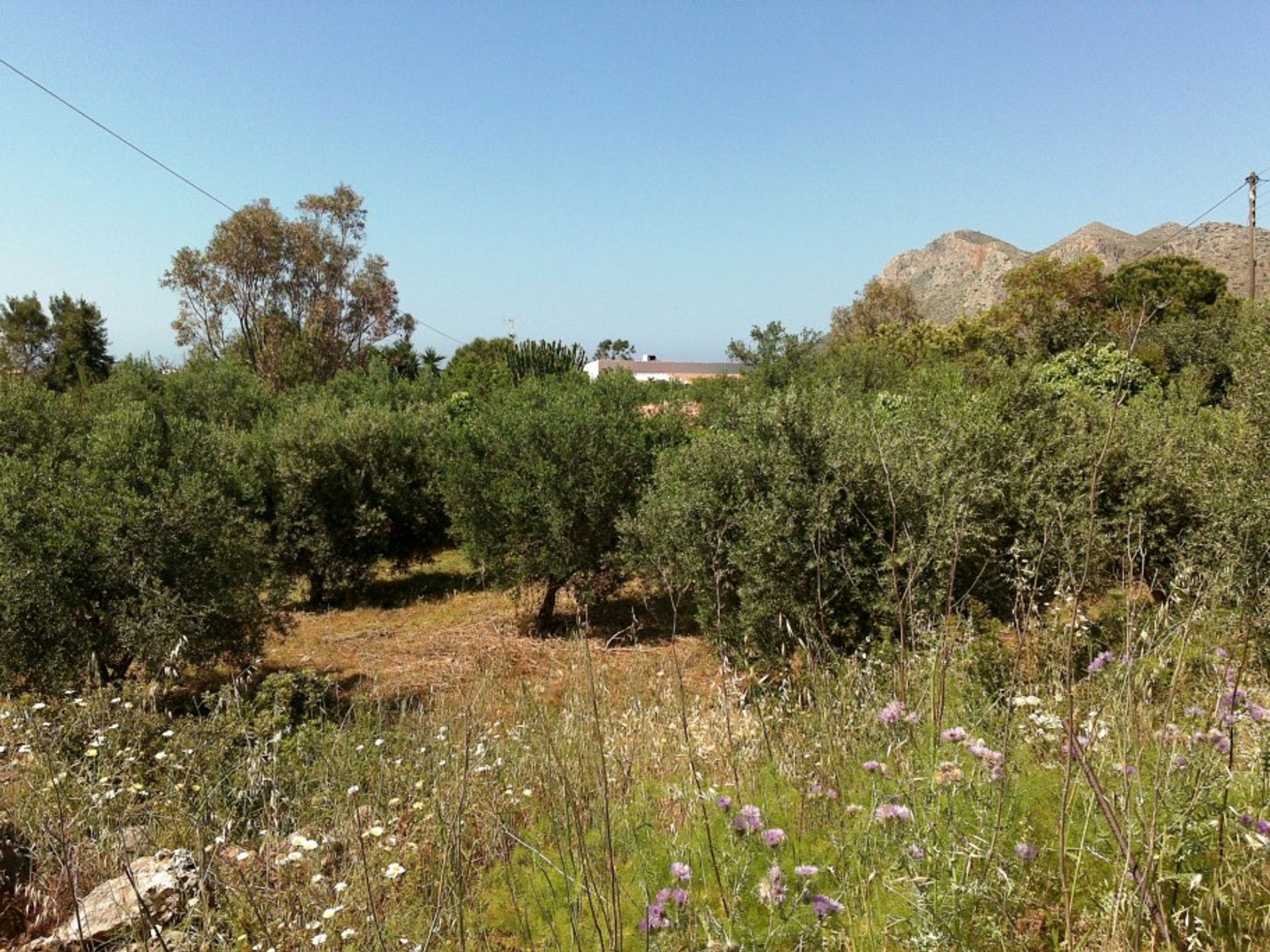 Land in Chorafakia,  10697604