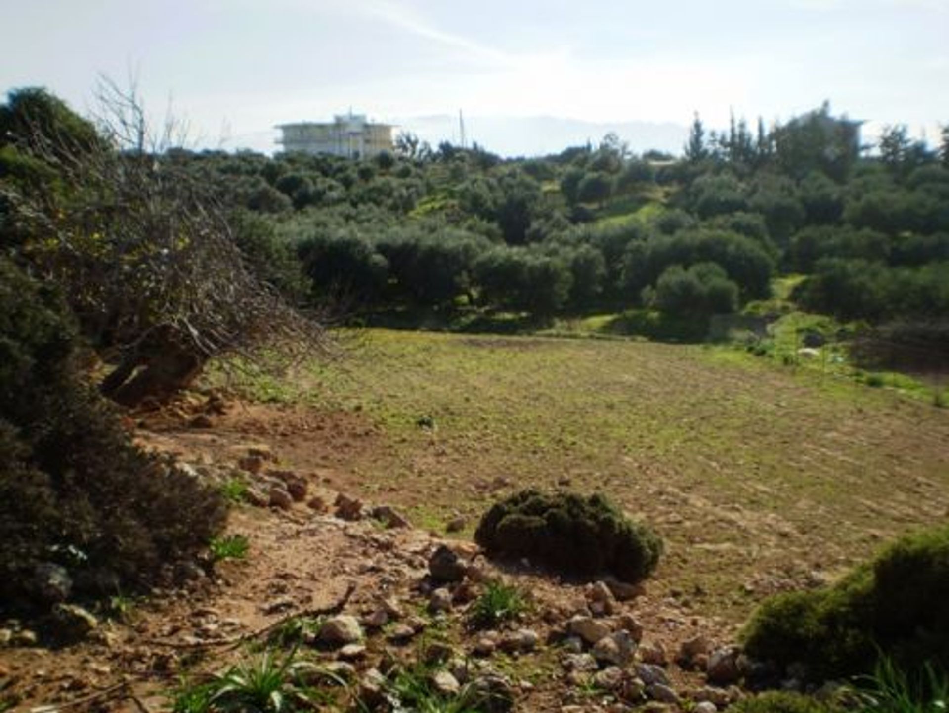 Land in Chorafakia,  10697633