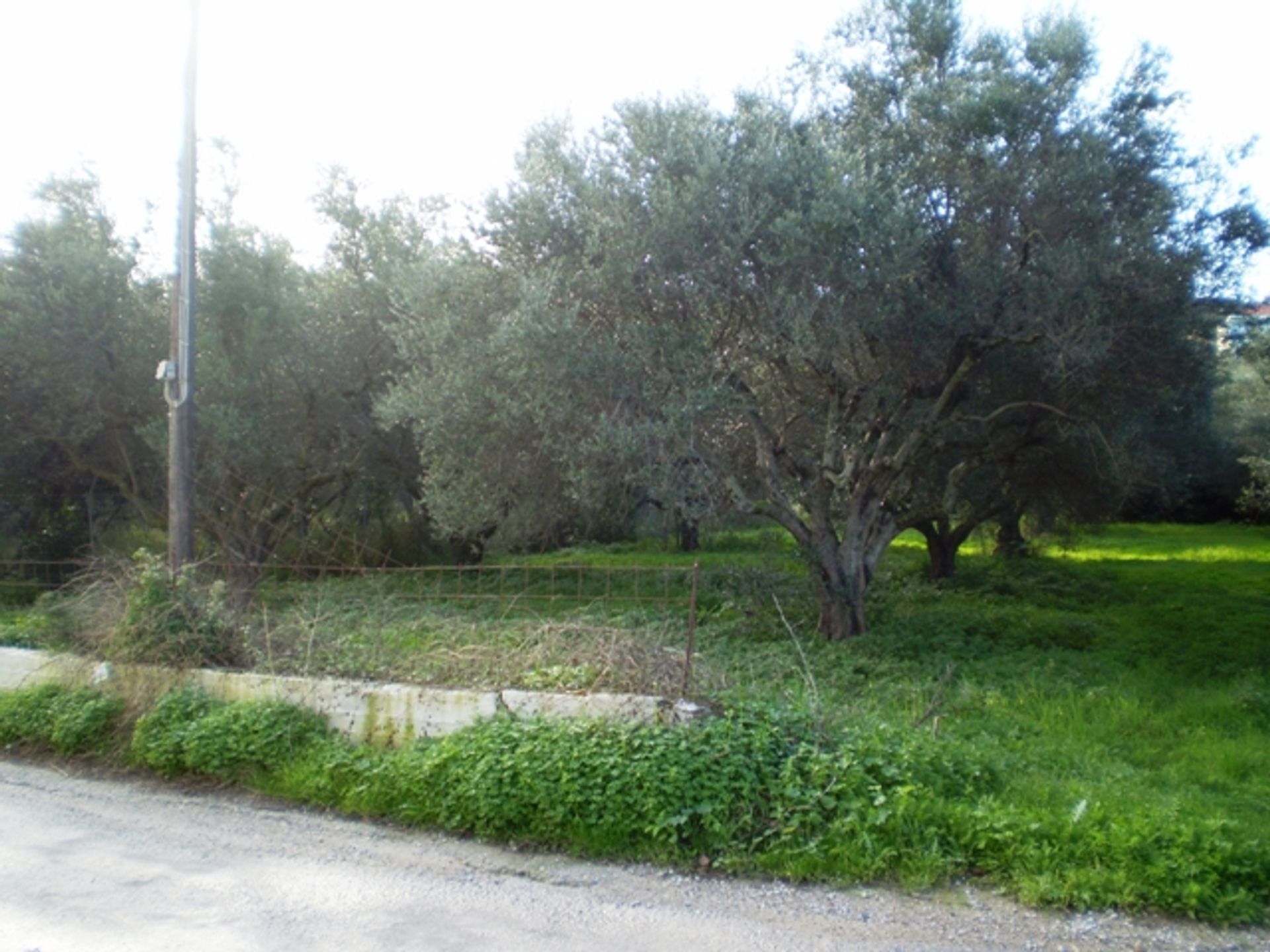 Land in Kefalas, Kriti 10697657