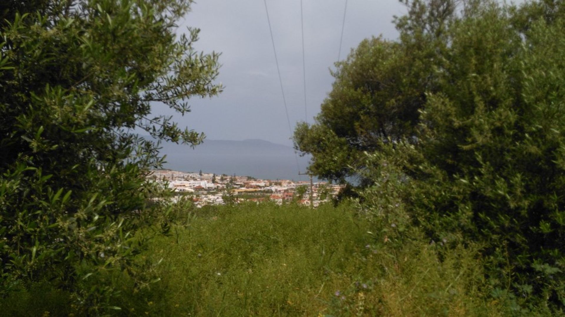 Land in Platanias, Kriti 10697742