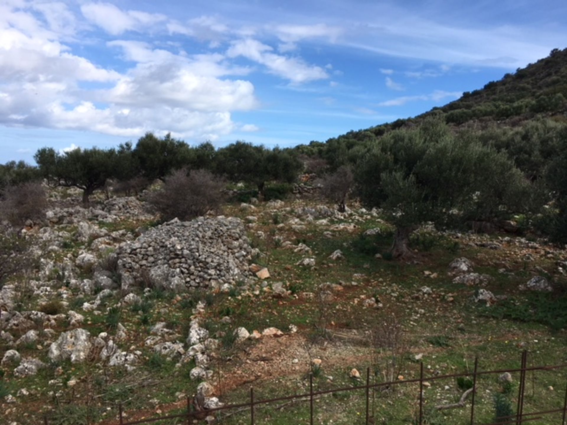 Terre dans Kokkino Chorio,  10697754