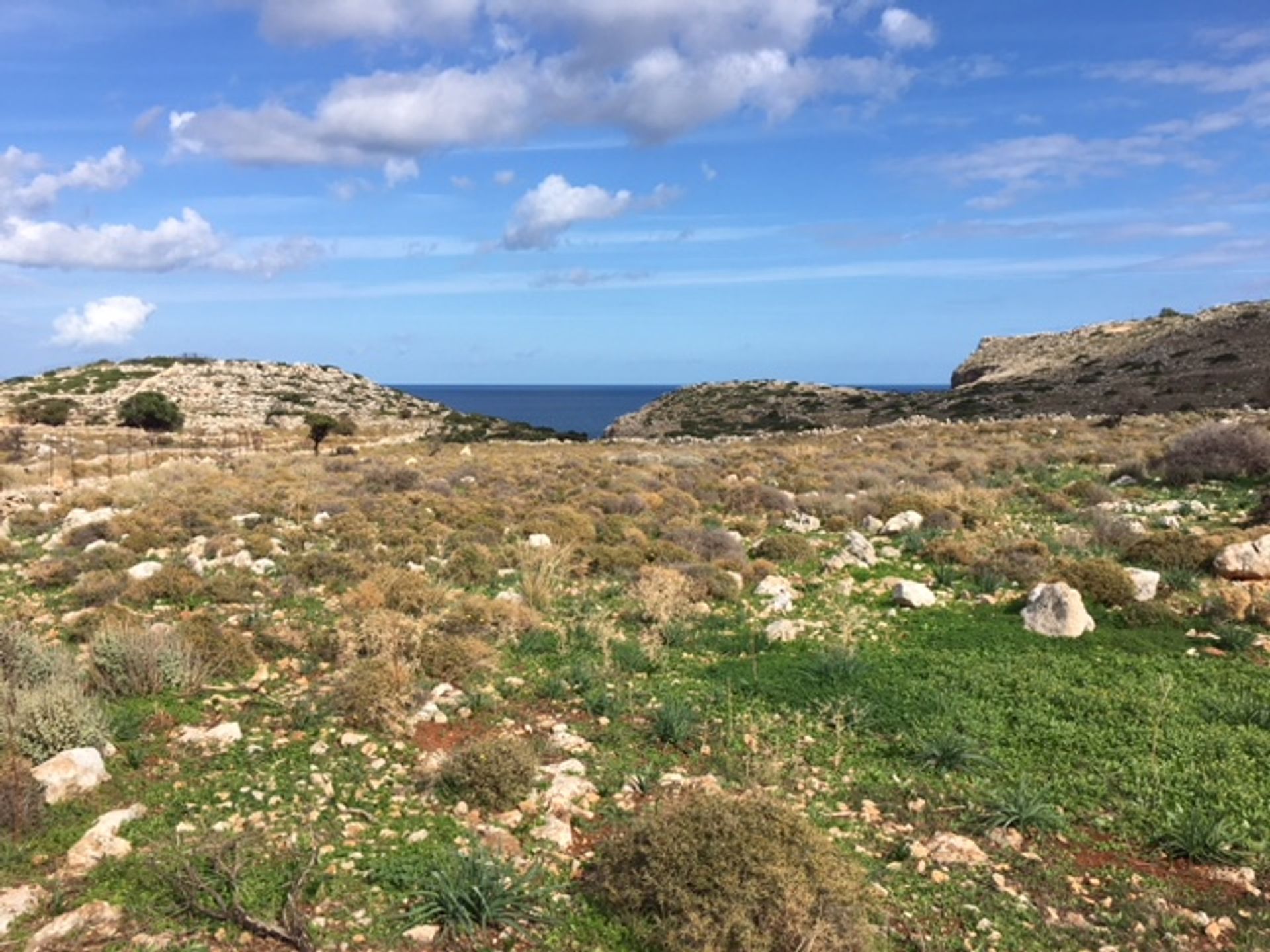 Terre dans Kokkino Chorio,  10697757