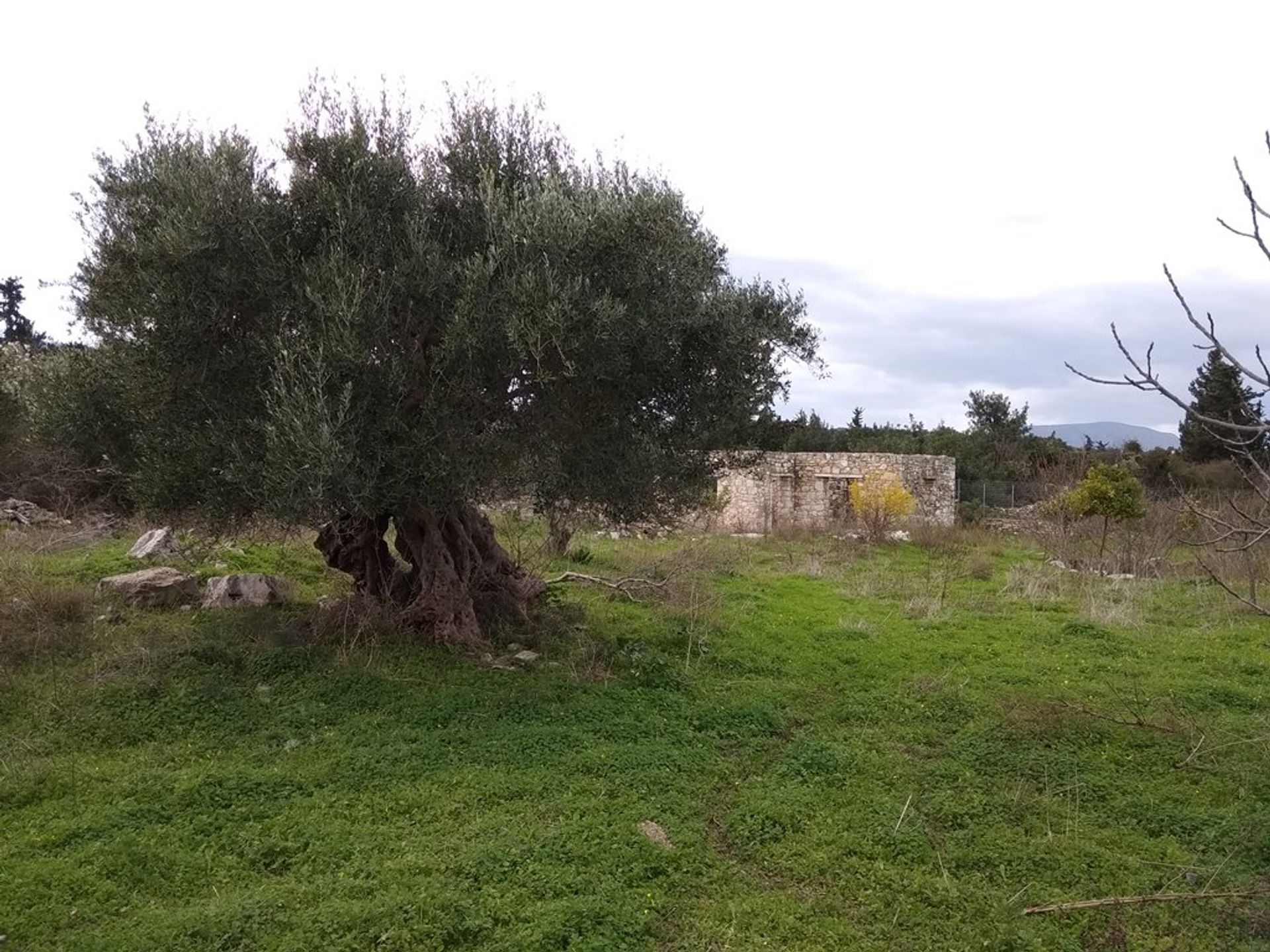 Land in Gavalohori,  10697782