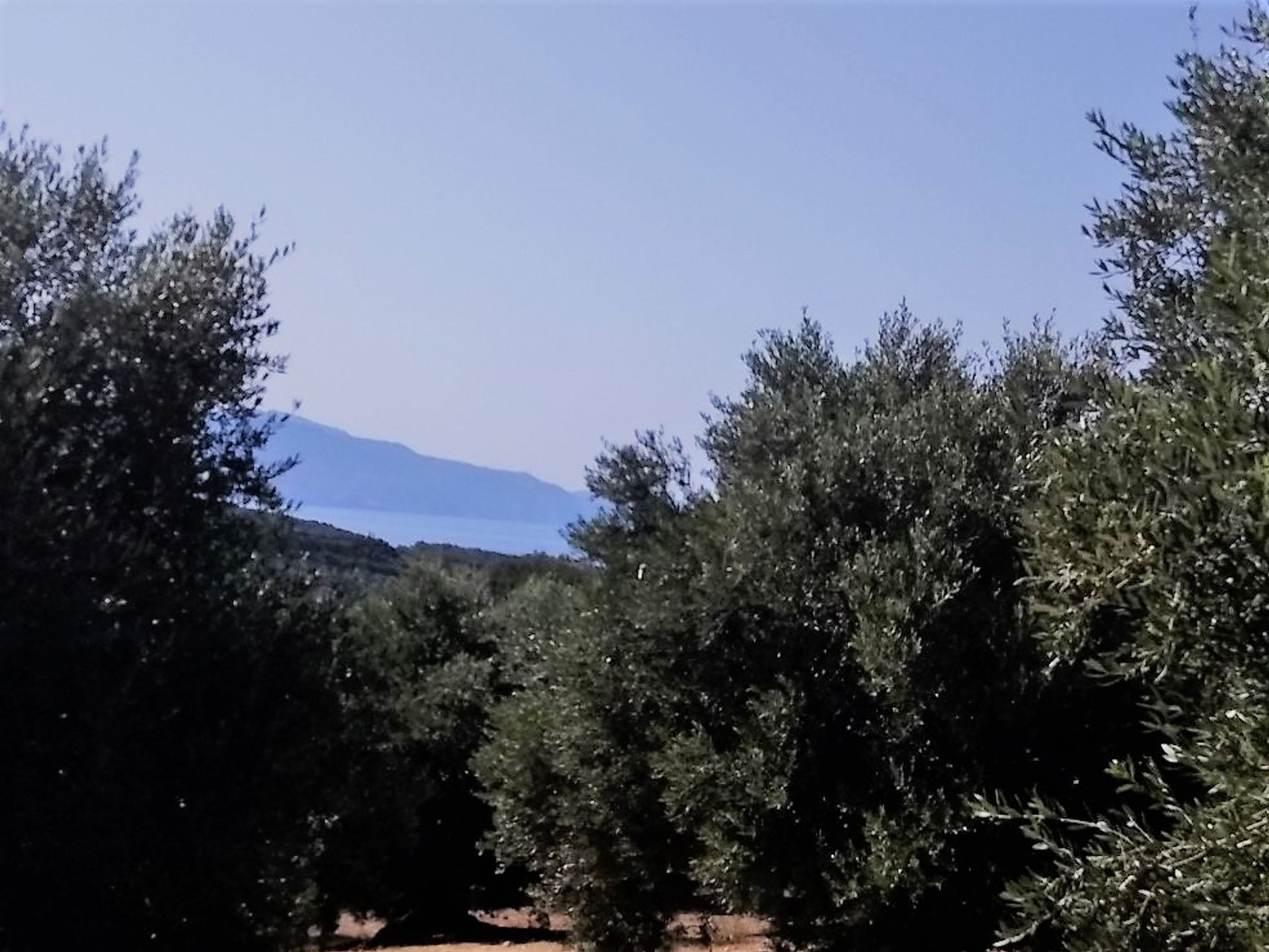 Land in Platanias, Kriti 10697816