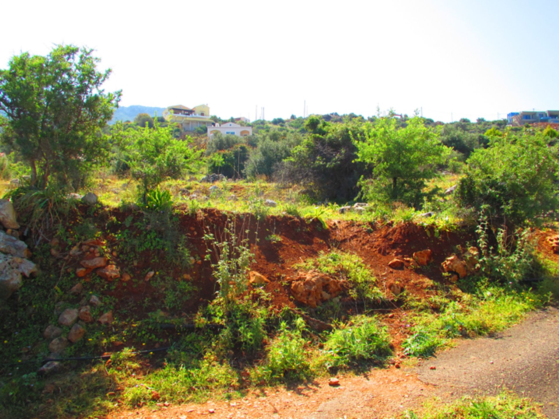 Land im Kokkino Chorio,  10697817