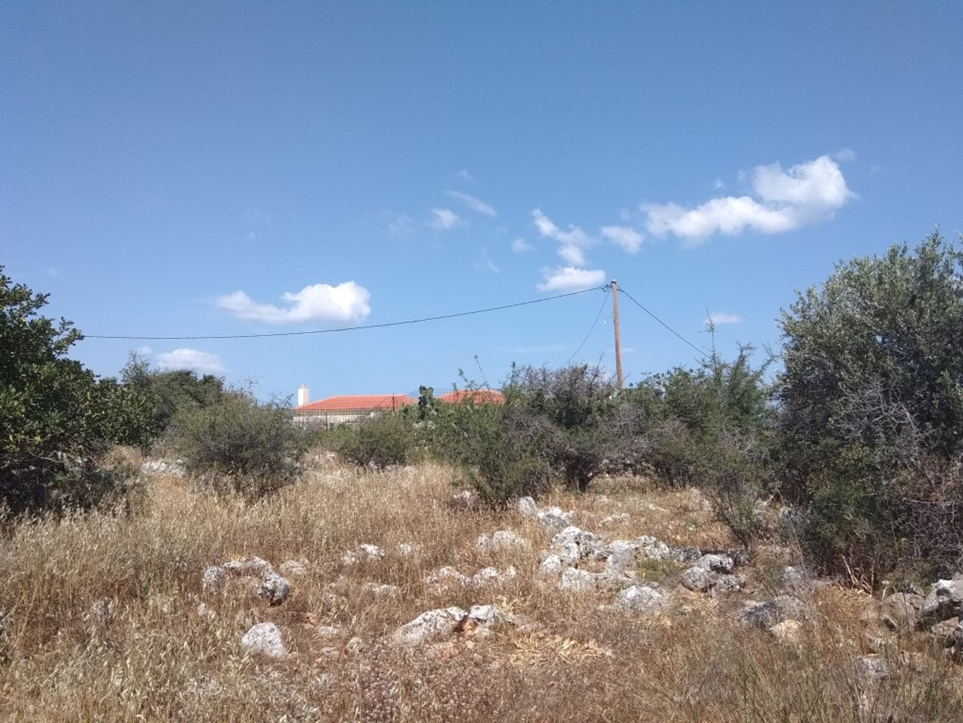 Land i Kefalas, Kriti 10697823