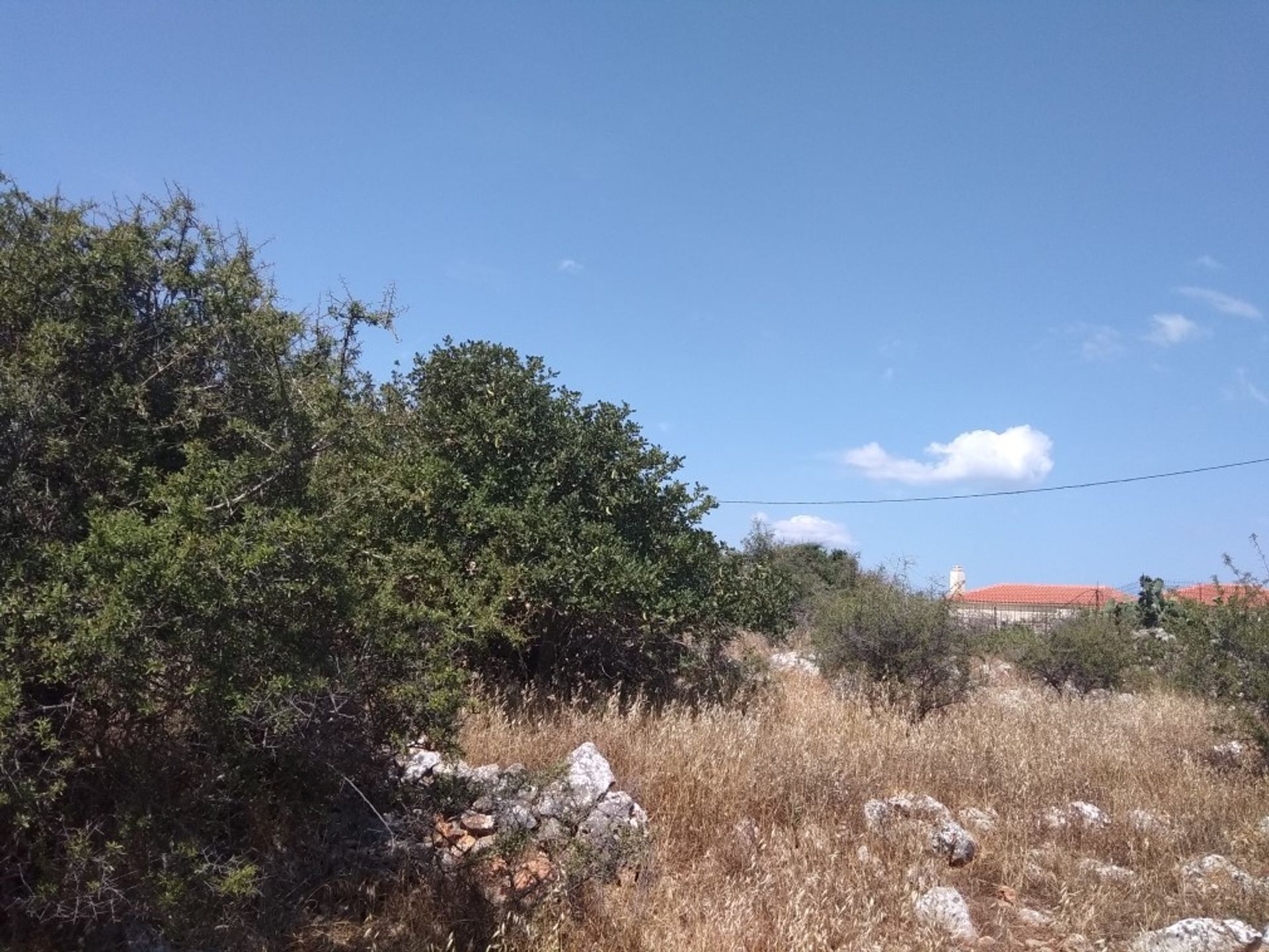 Land i Kefalas, Kriti 10697823