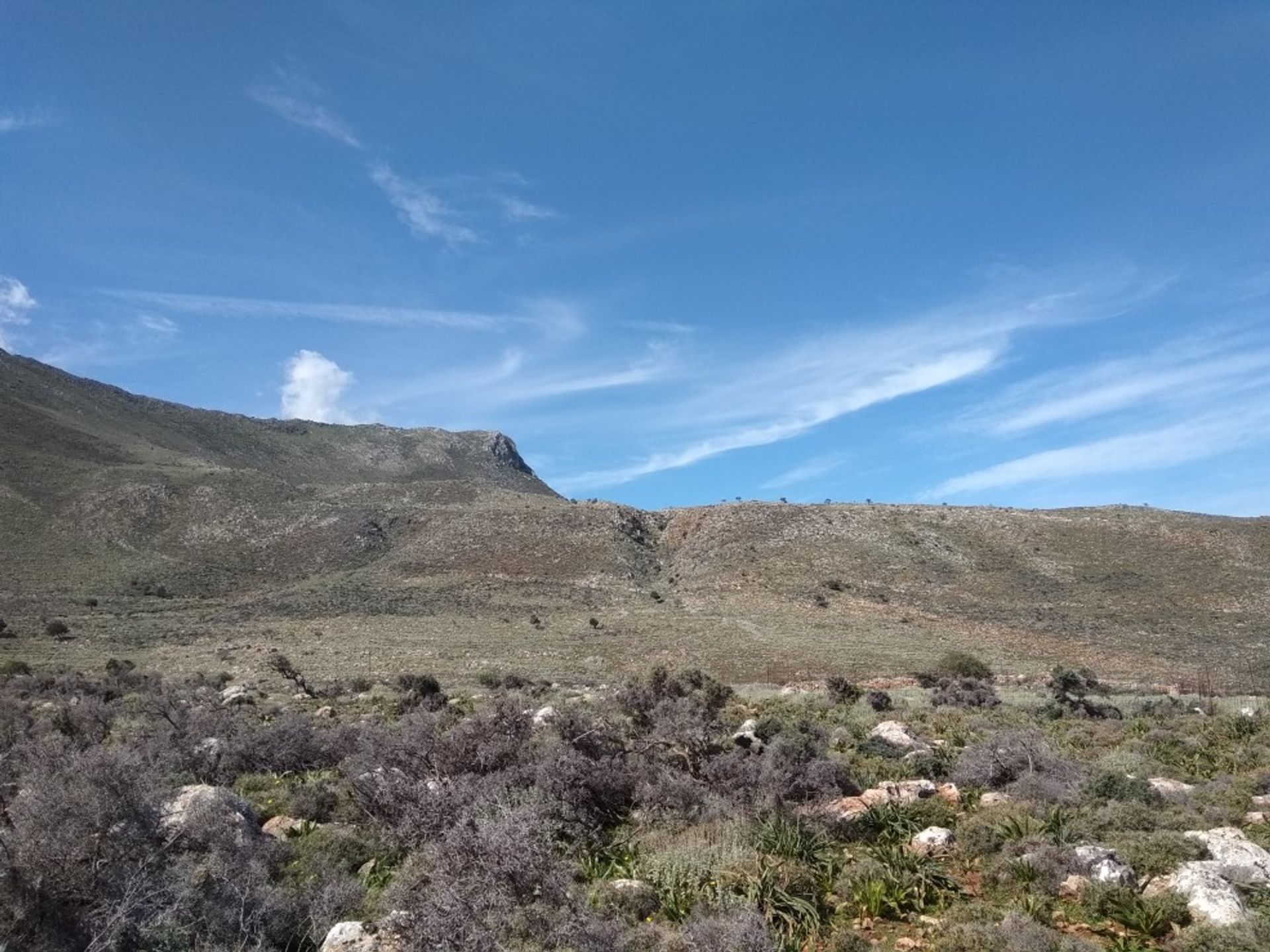 土地 在 Drapanos,  10697826