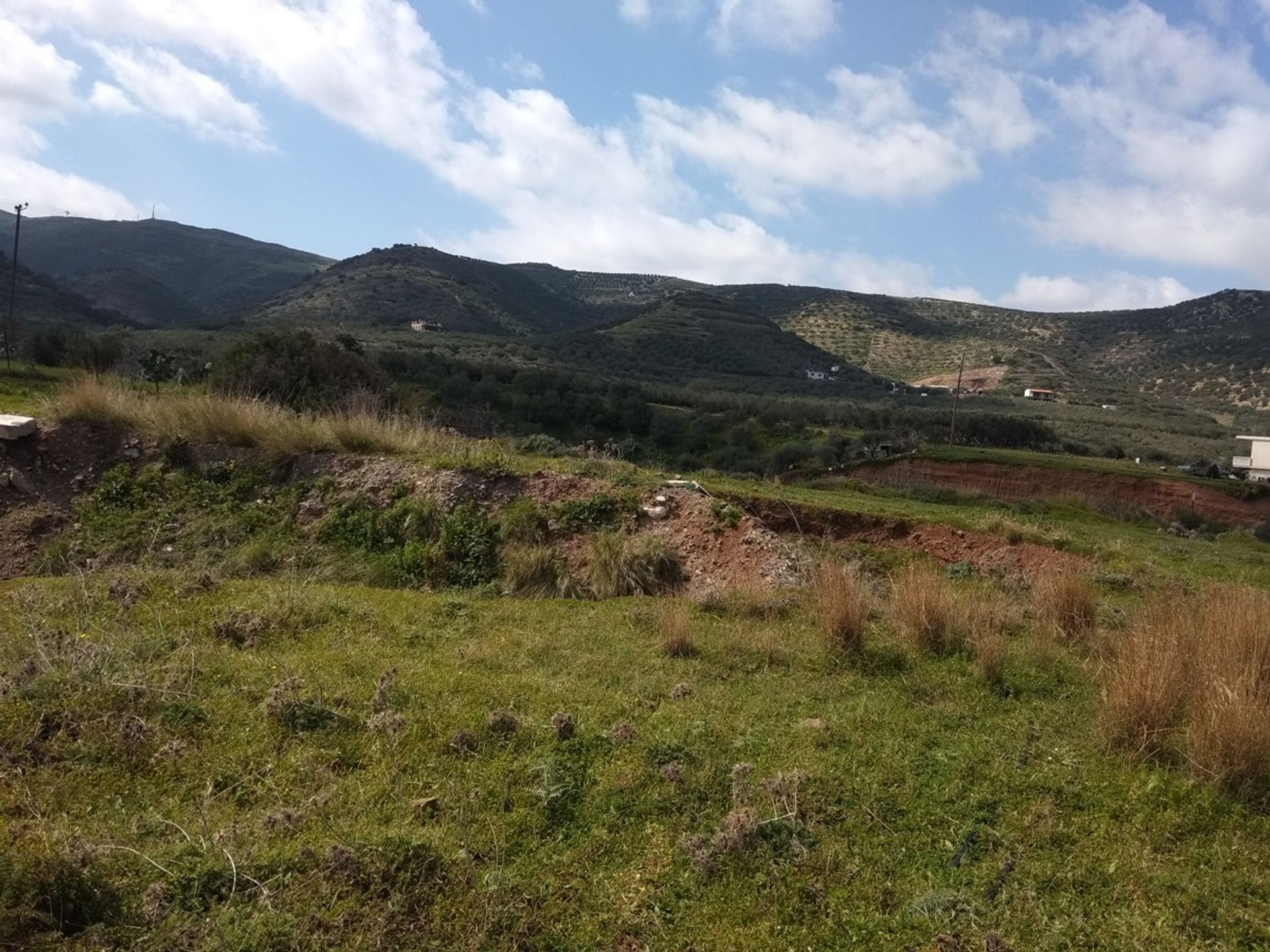 Tierra en Kísamos, criti 10697853