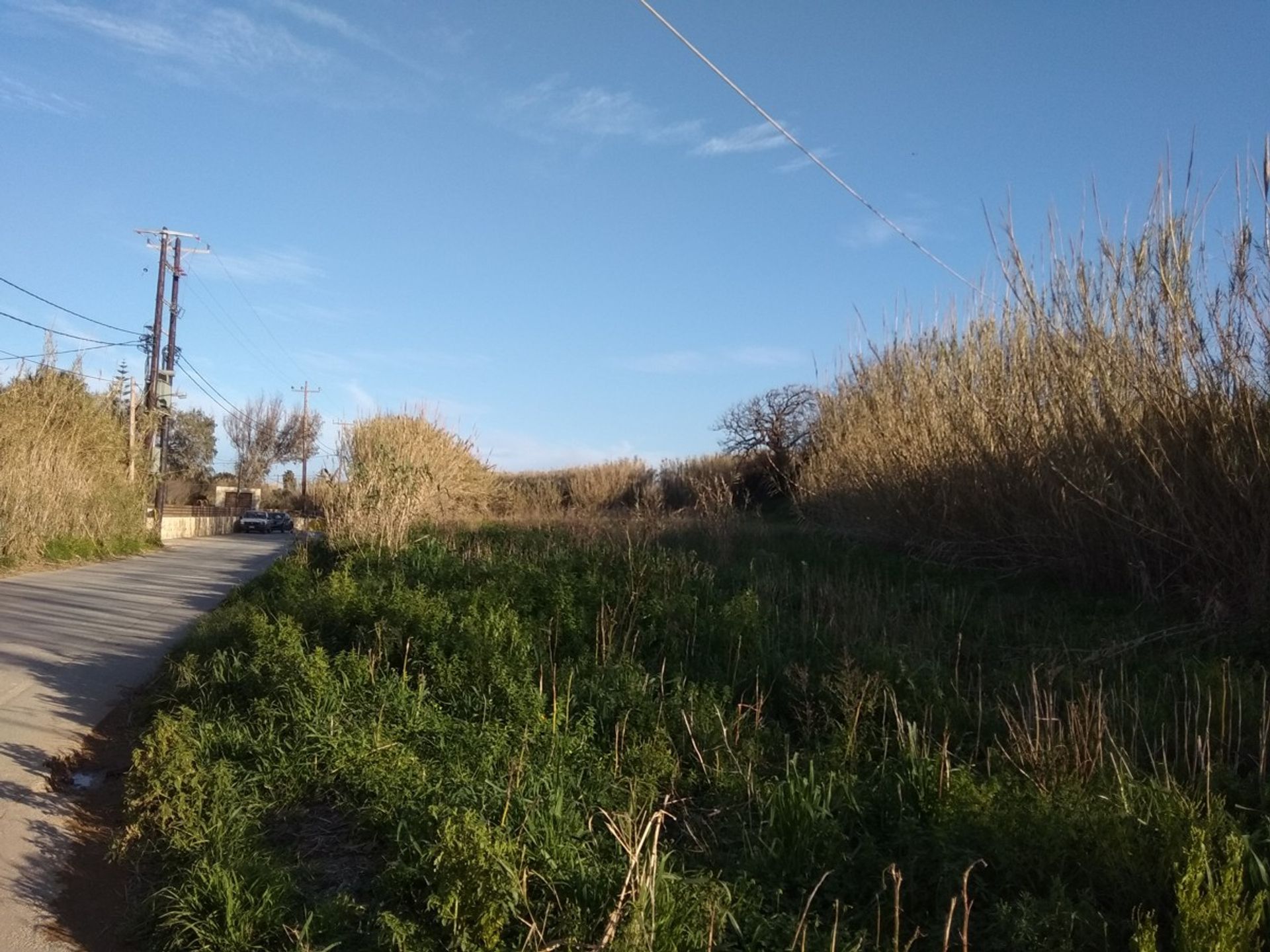 Land in Platanias, Kriti 10697861