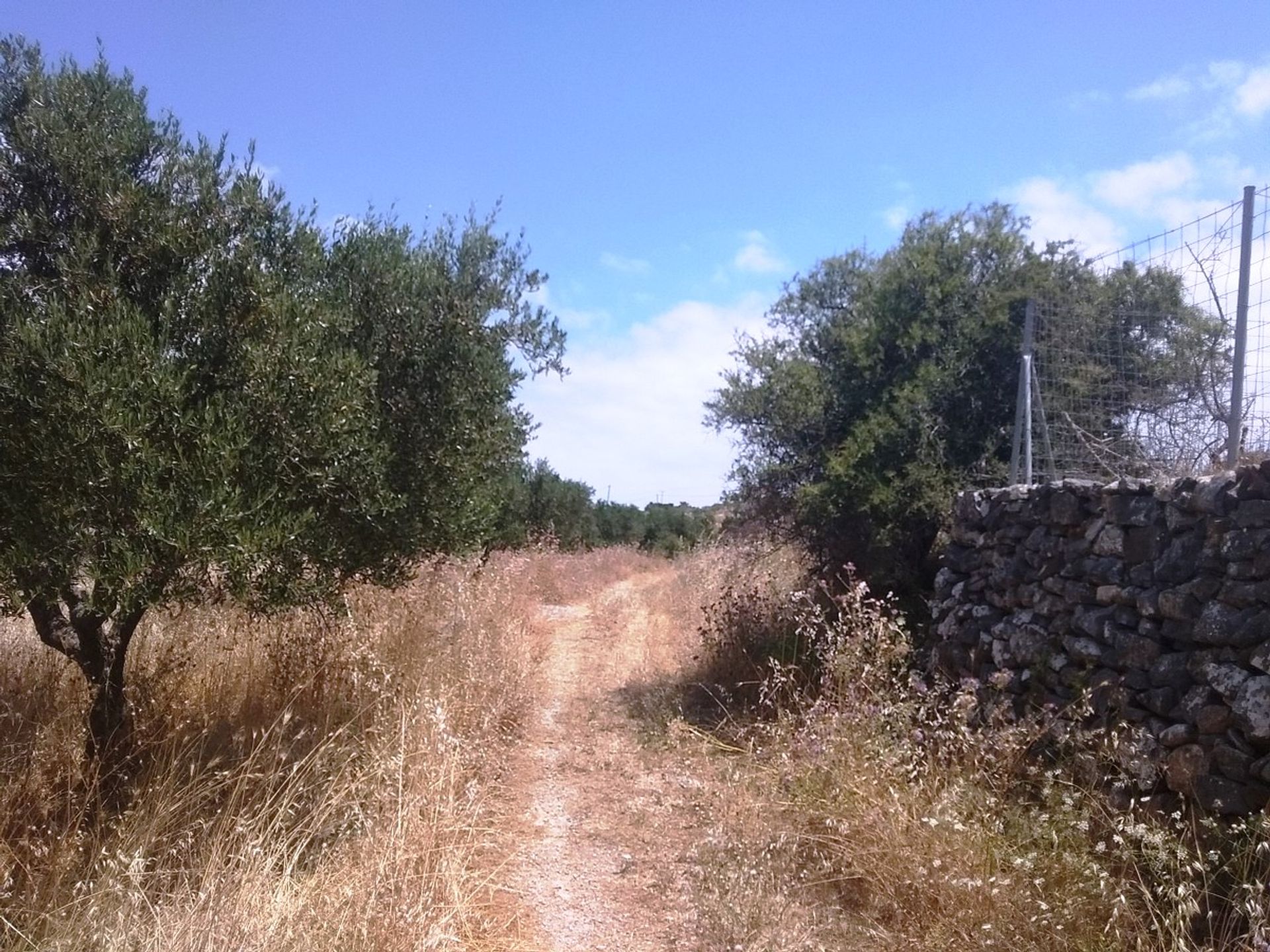 Land in Kefalas, Kriti 10697872