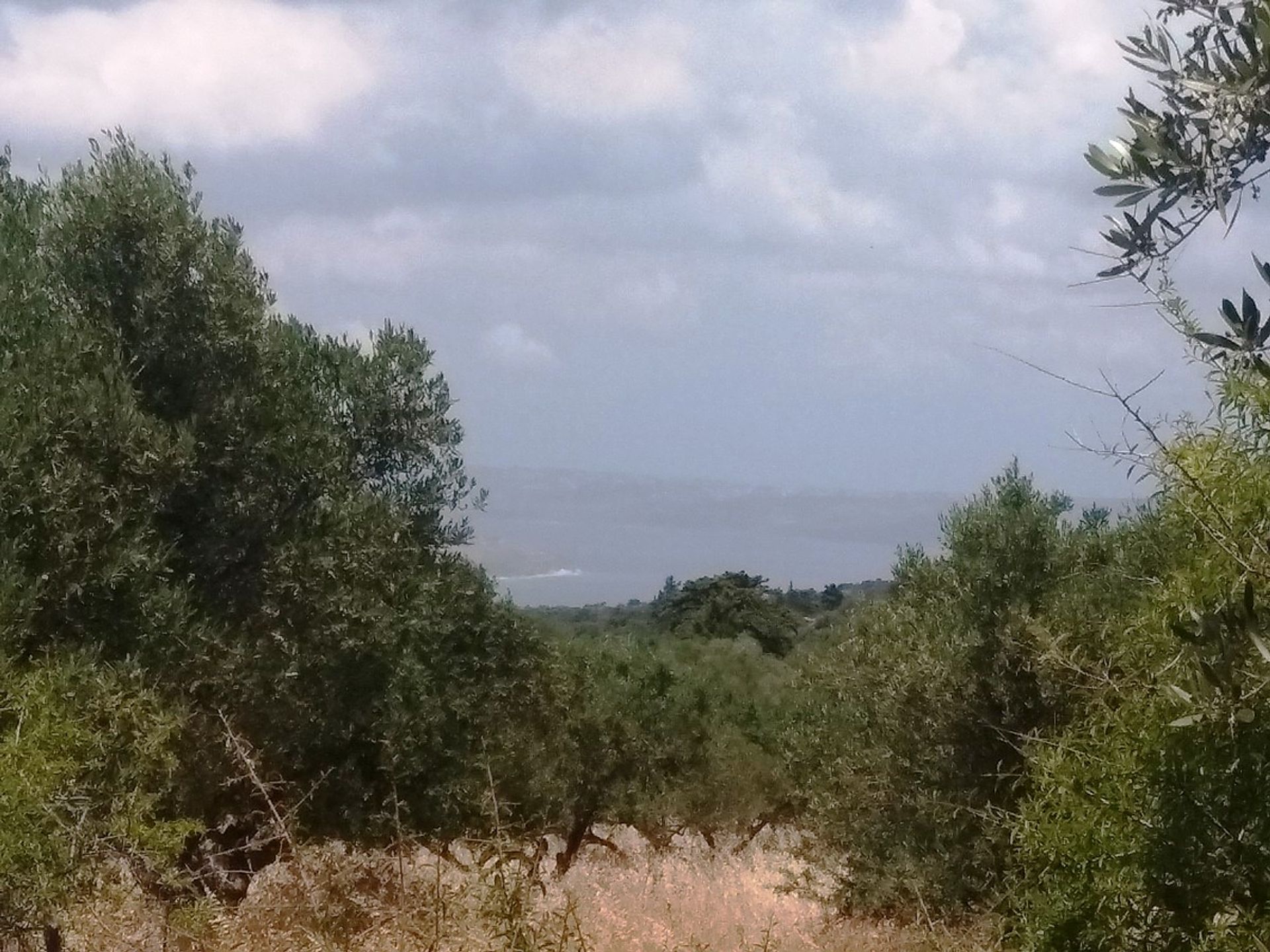 Land im Kefalas, Kriti 10697872