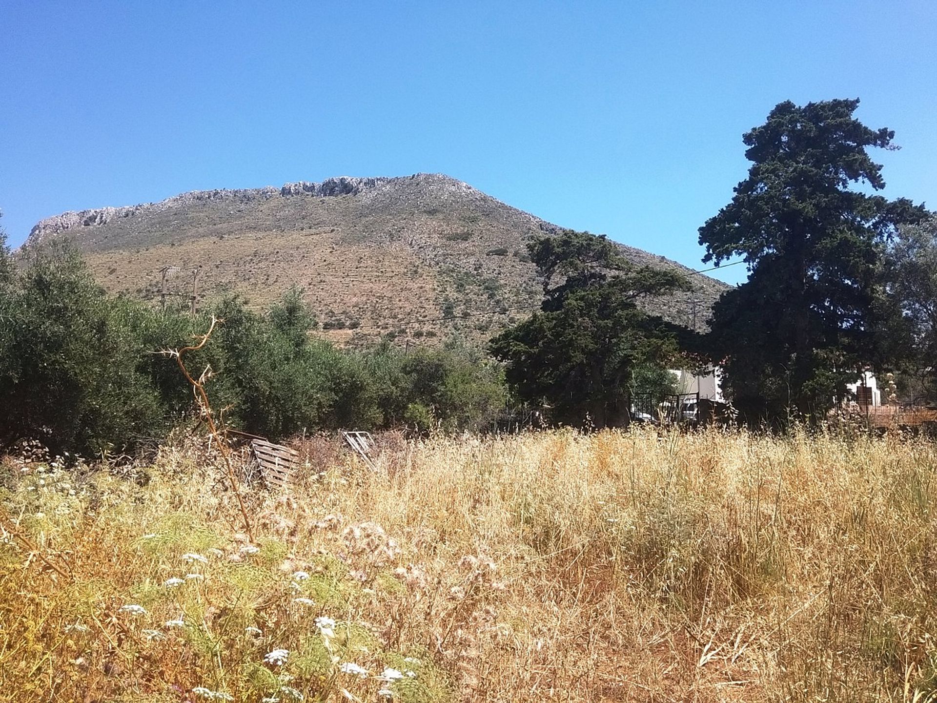 Land in Kokkino Chorio,  10697878