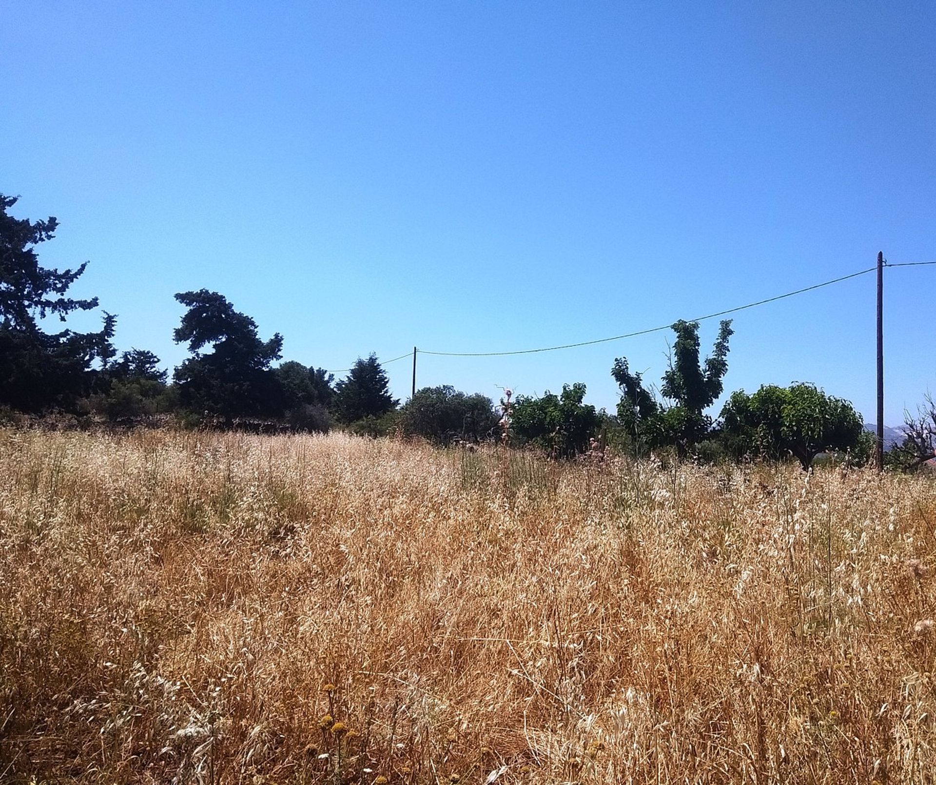 Land in Kokkino Chorio,  10697878