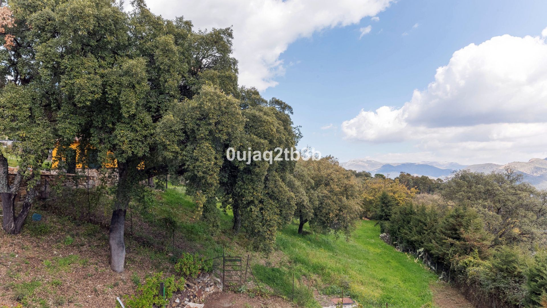 Otro en Cortes de la Frontera, Andalusia 10697938