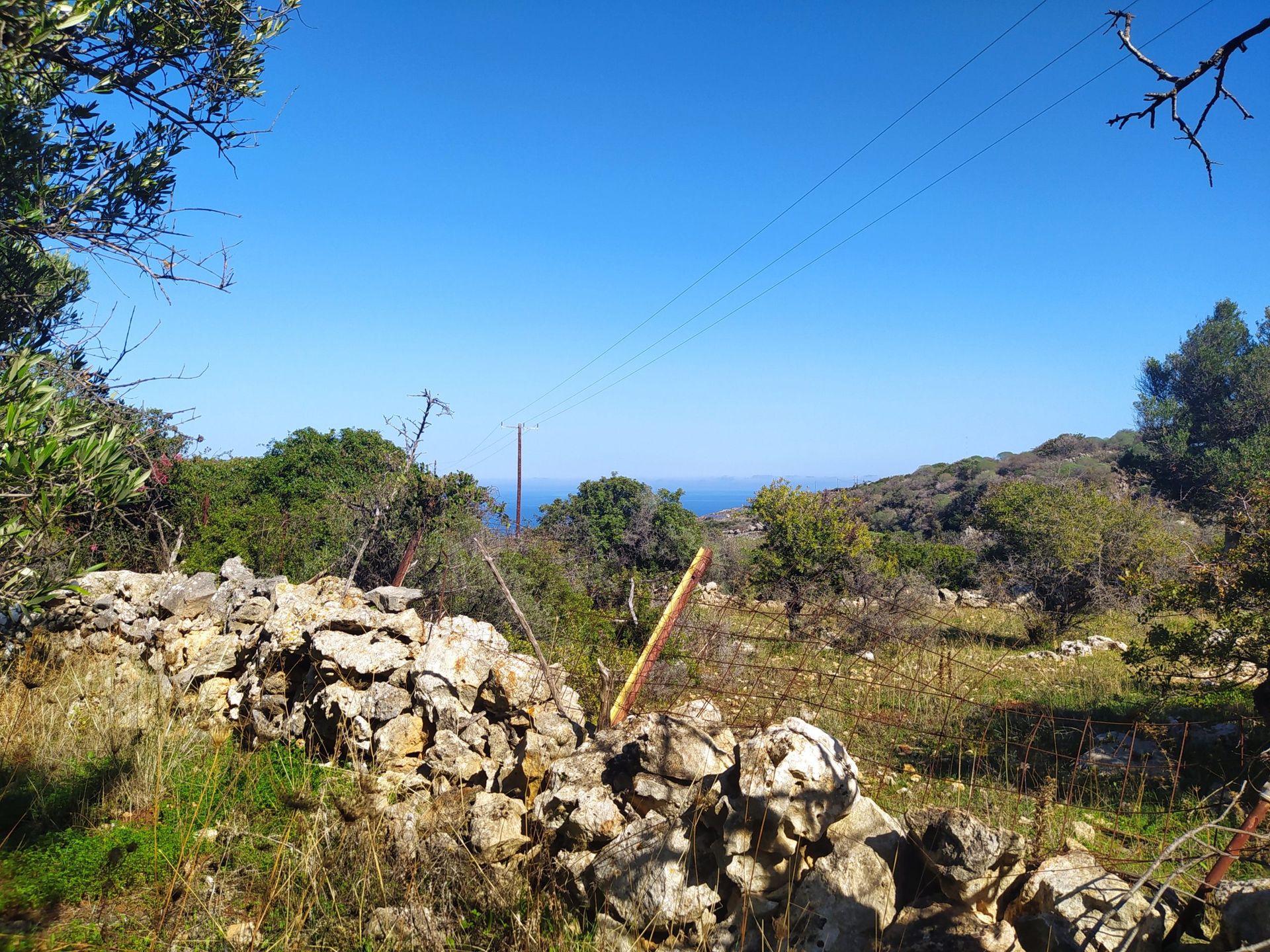 土地 在 Kokkino Chorio,  10697947