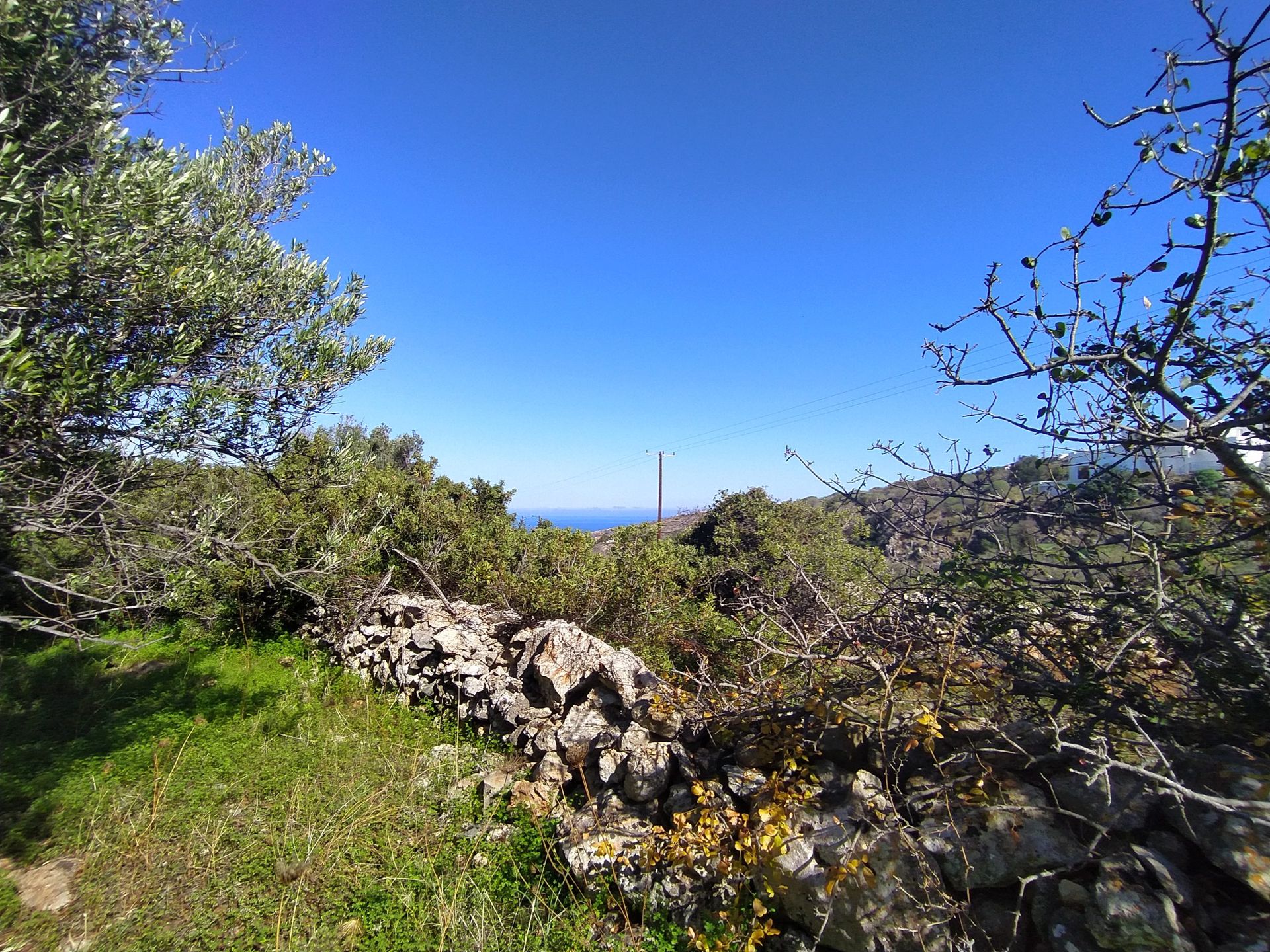 土地 在 Kokkino Chorio,  10697947