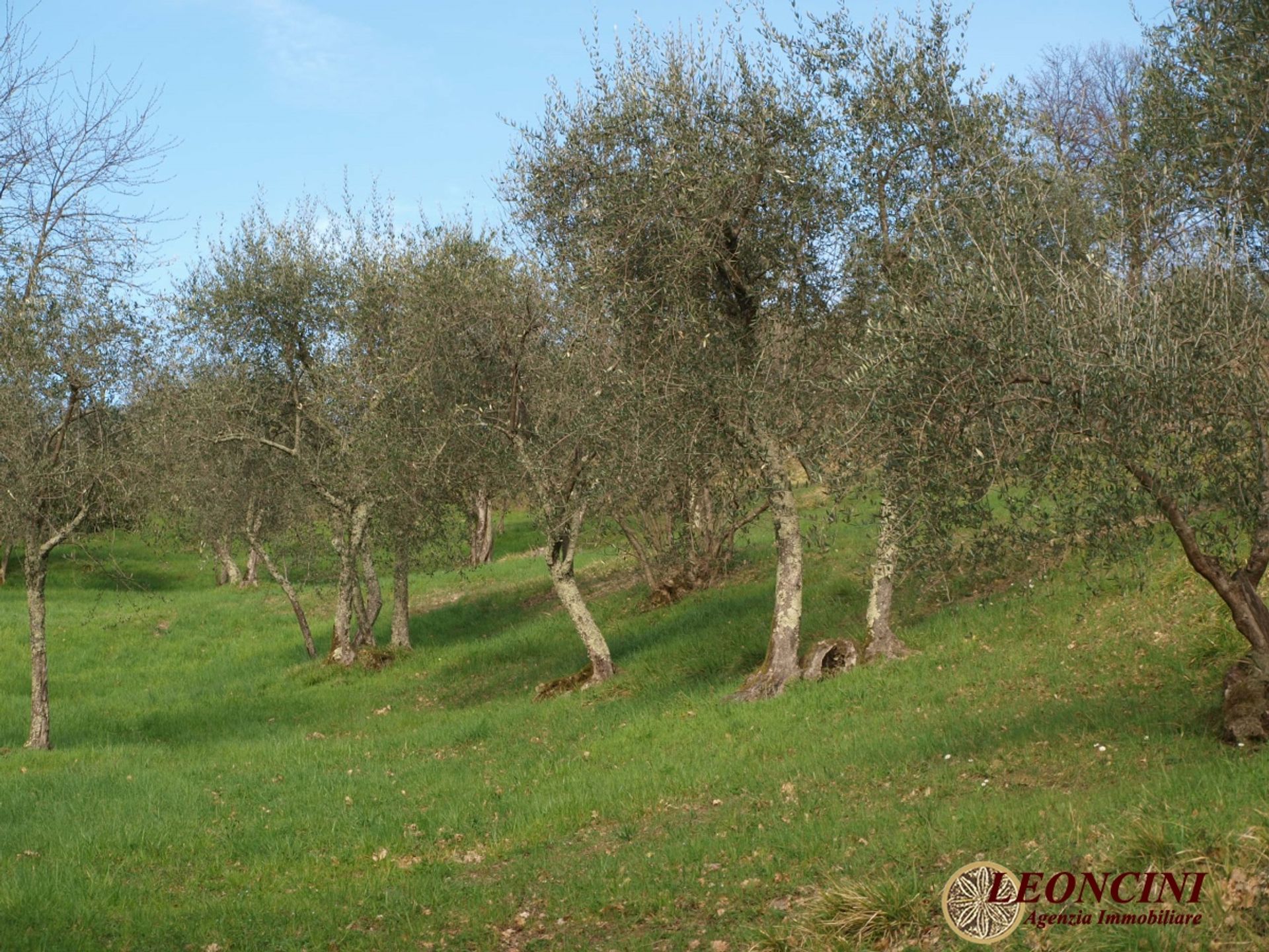 Hus i Pontremoli, Toscana 10698006