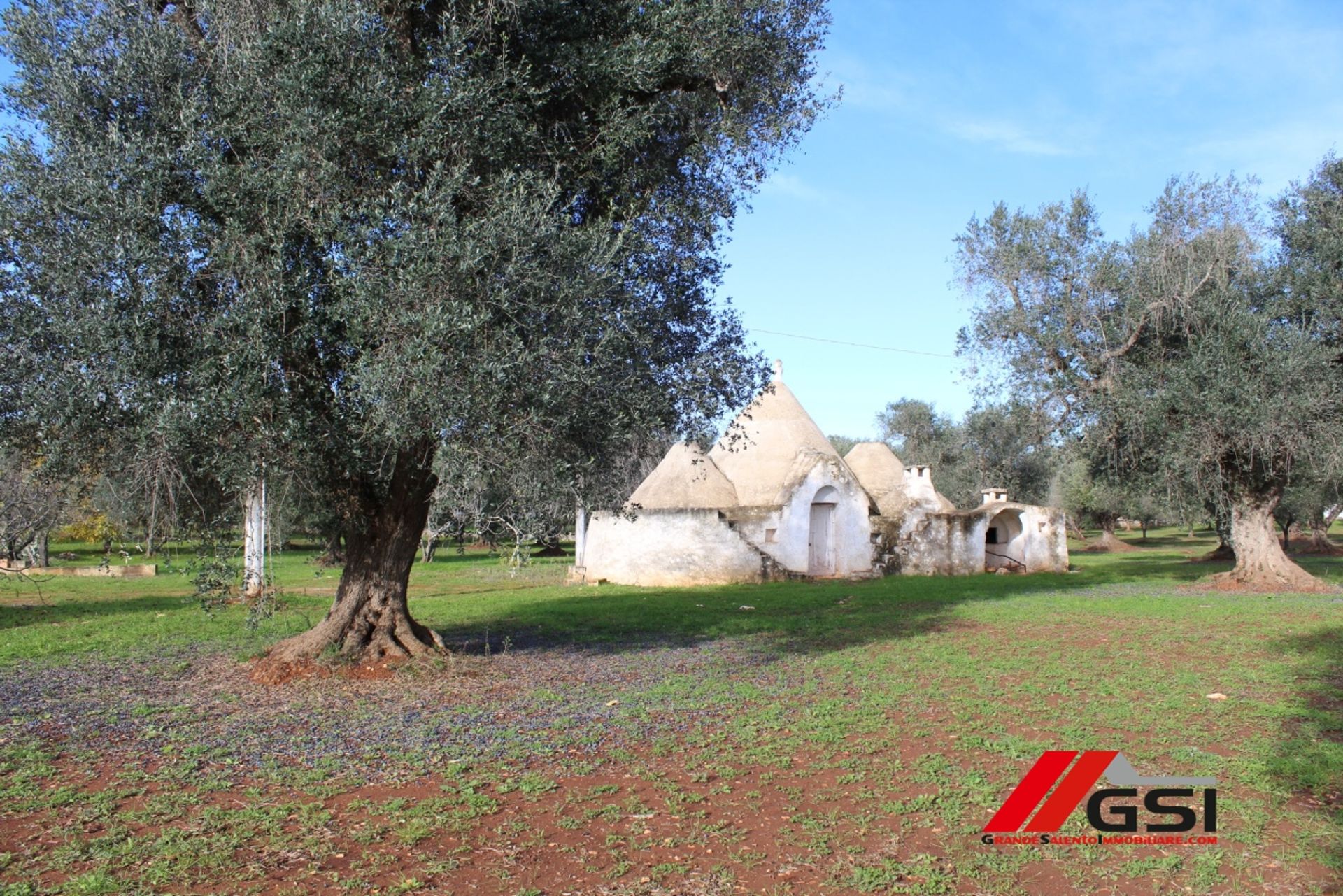 Haus im Ceglie Messapica, Apulia 10698141