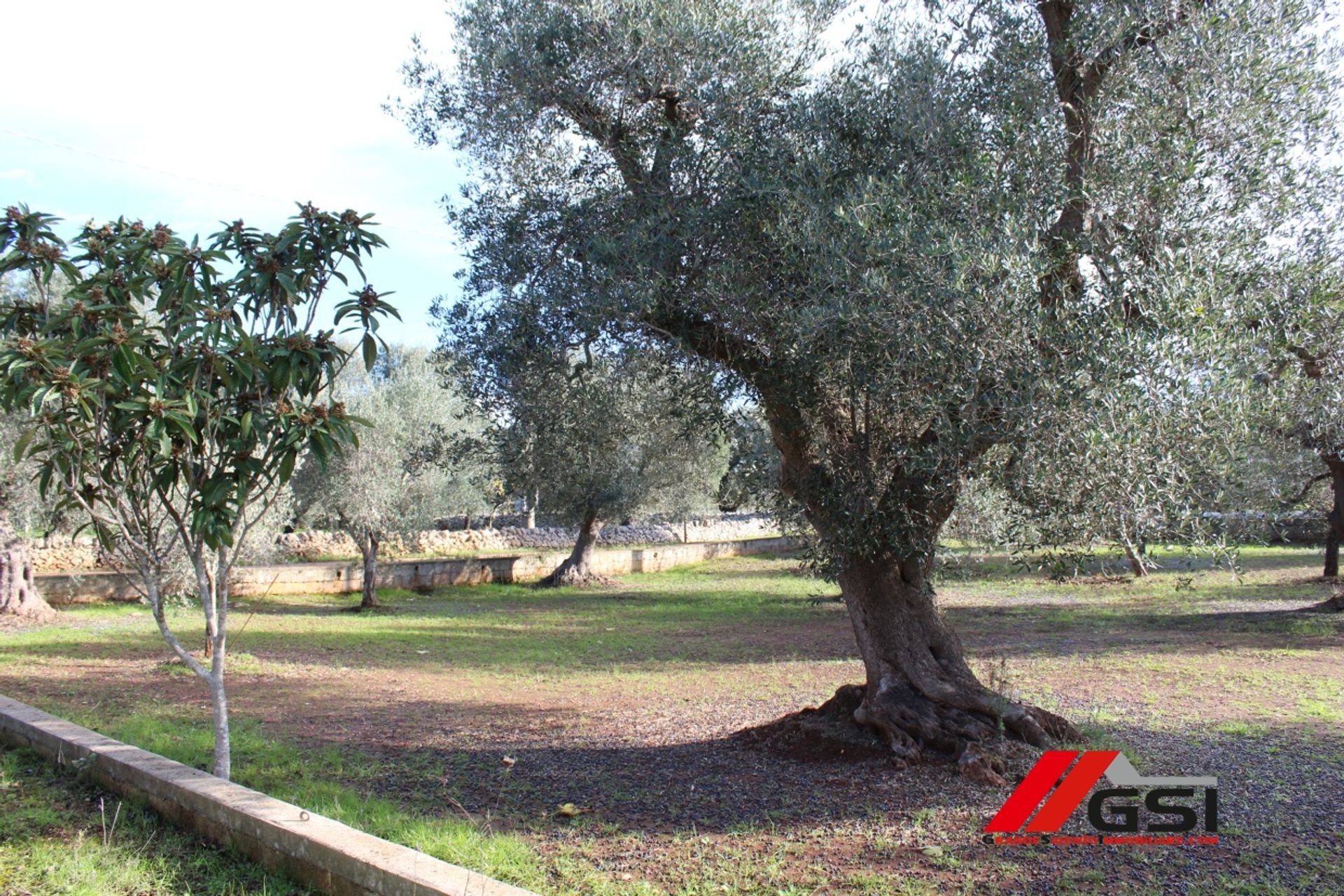 Haus im Ceglie Messapica, Apulia 10698141