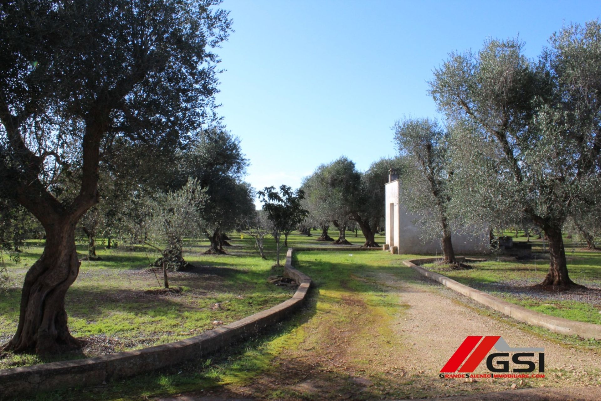 Haus im Ceglie Messapica, Apulia 10698141