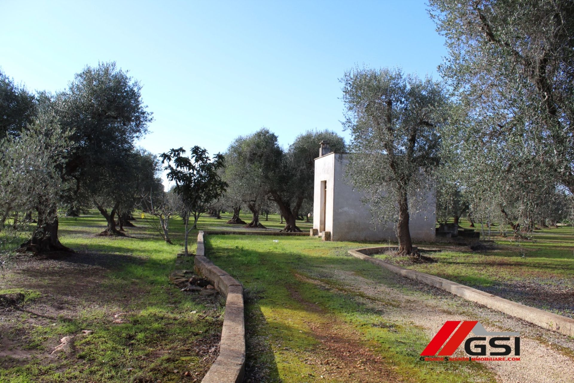 Haus im Ceglie Messapica, Apulia 10698141