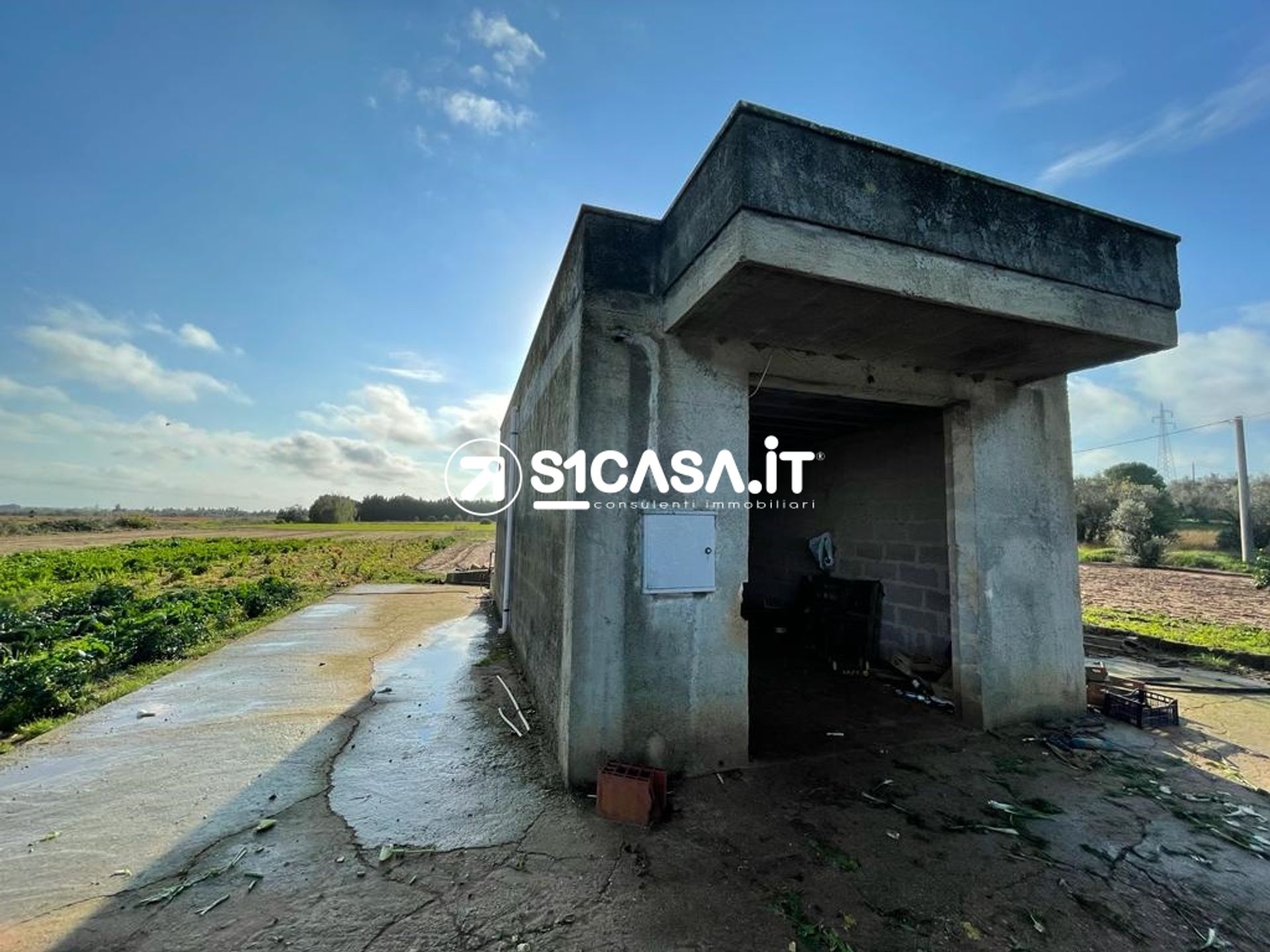 Terra no Galatina, Apulia 10698143