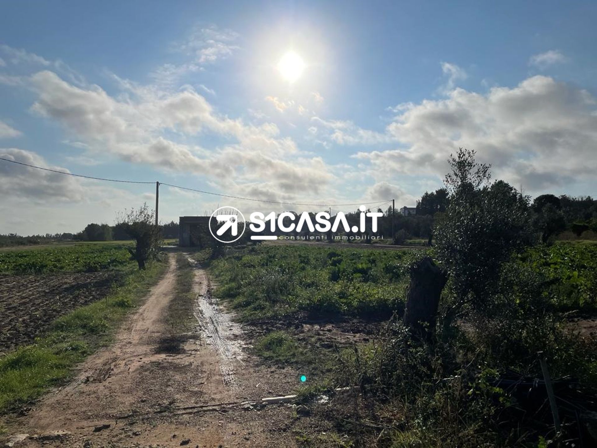 Land in Galatina, Apulia 10698143