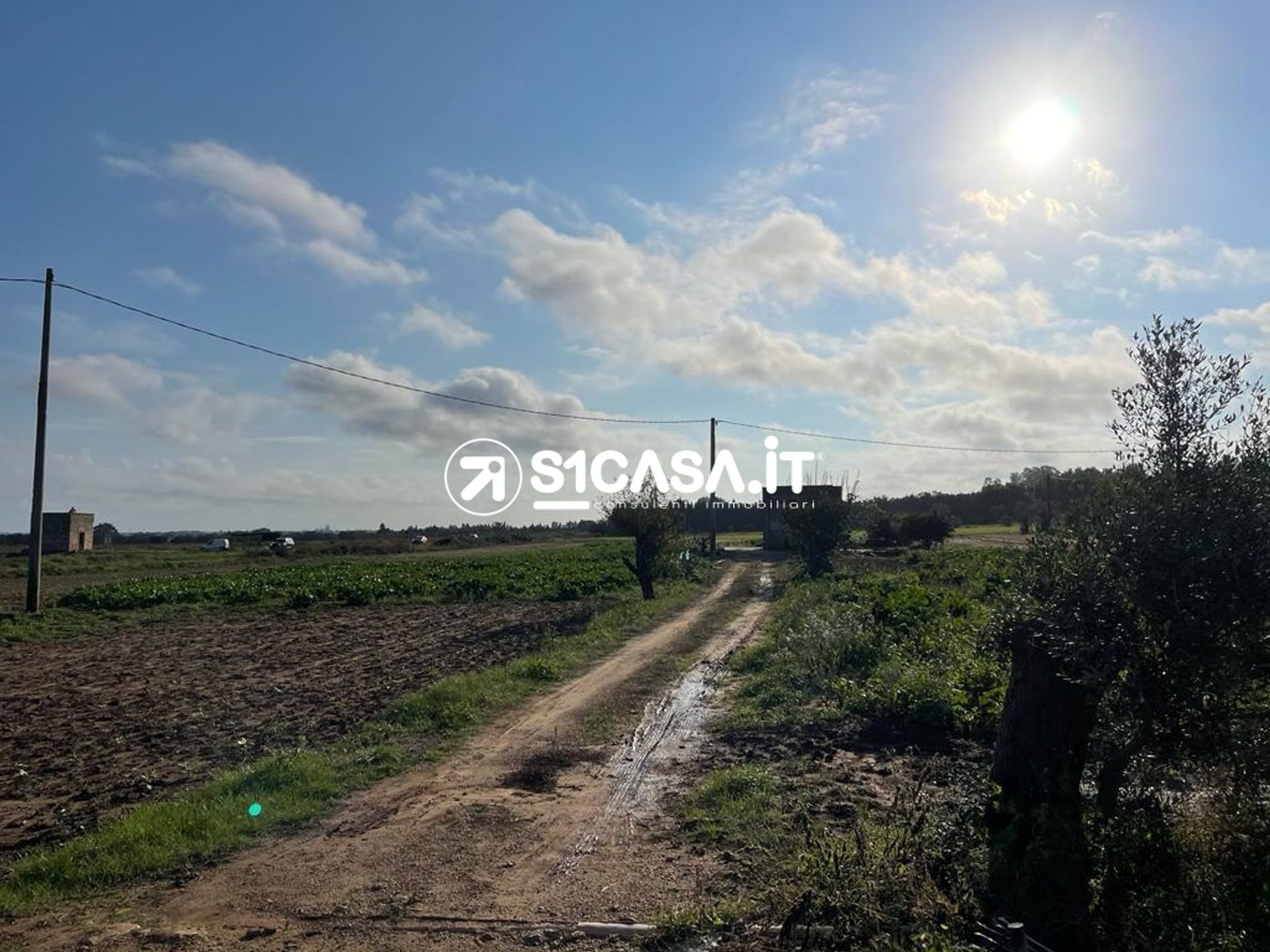 Terra no Galatina, Apulia 10698143