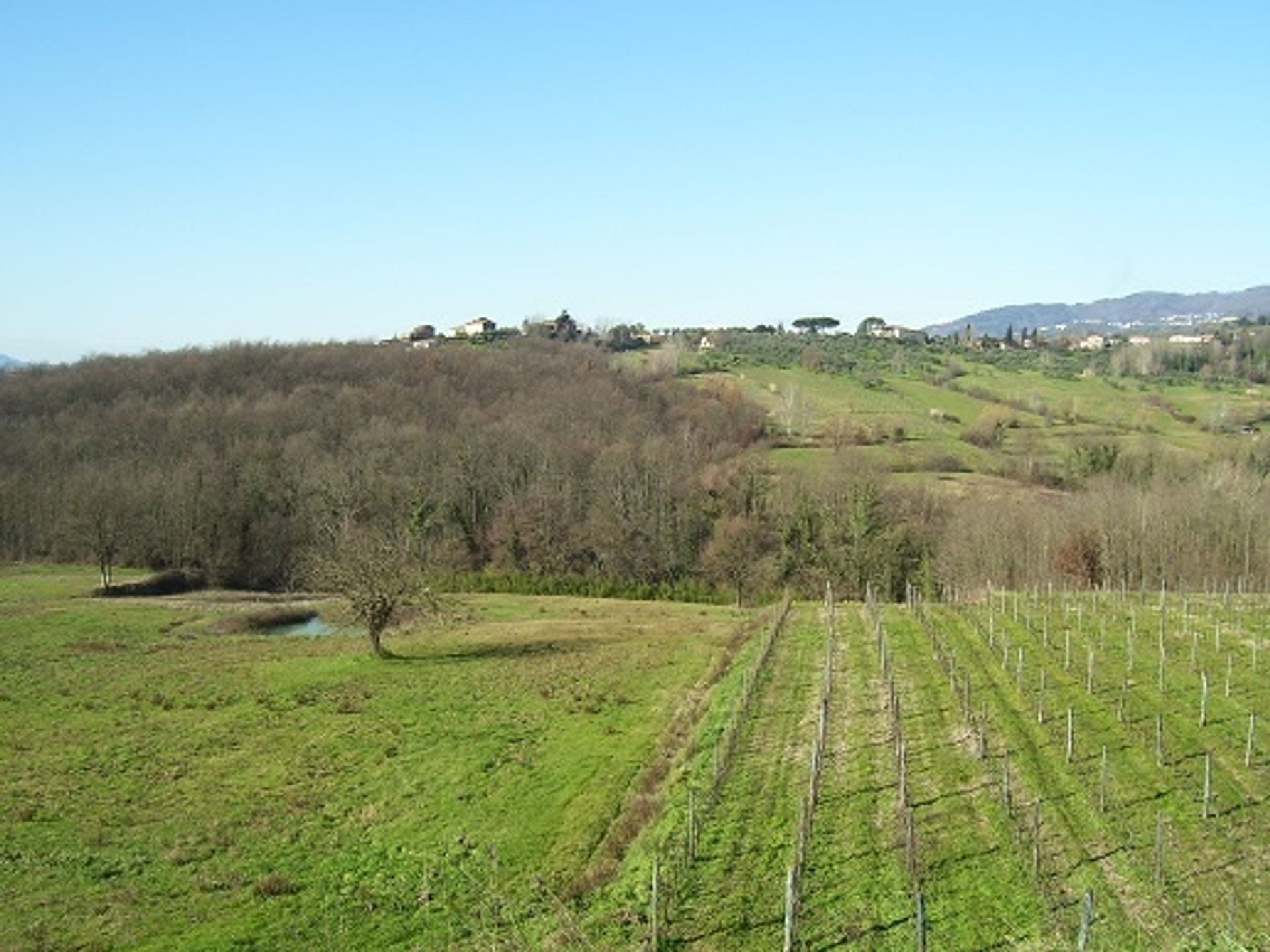 rumah dalam Capannori, Tuscany 10698295