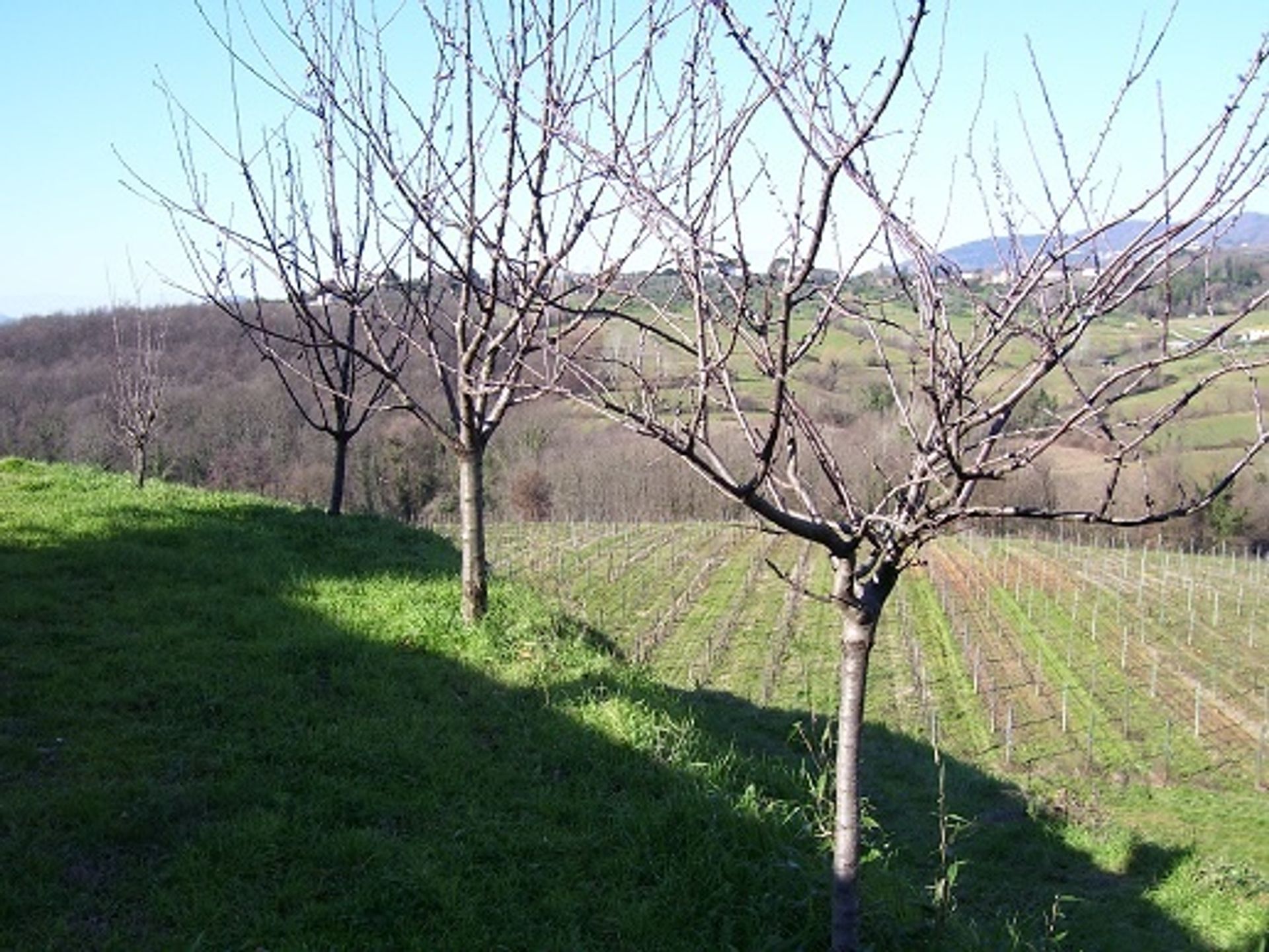 rumah dalam Lammari, Tuscany 10698295