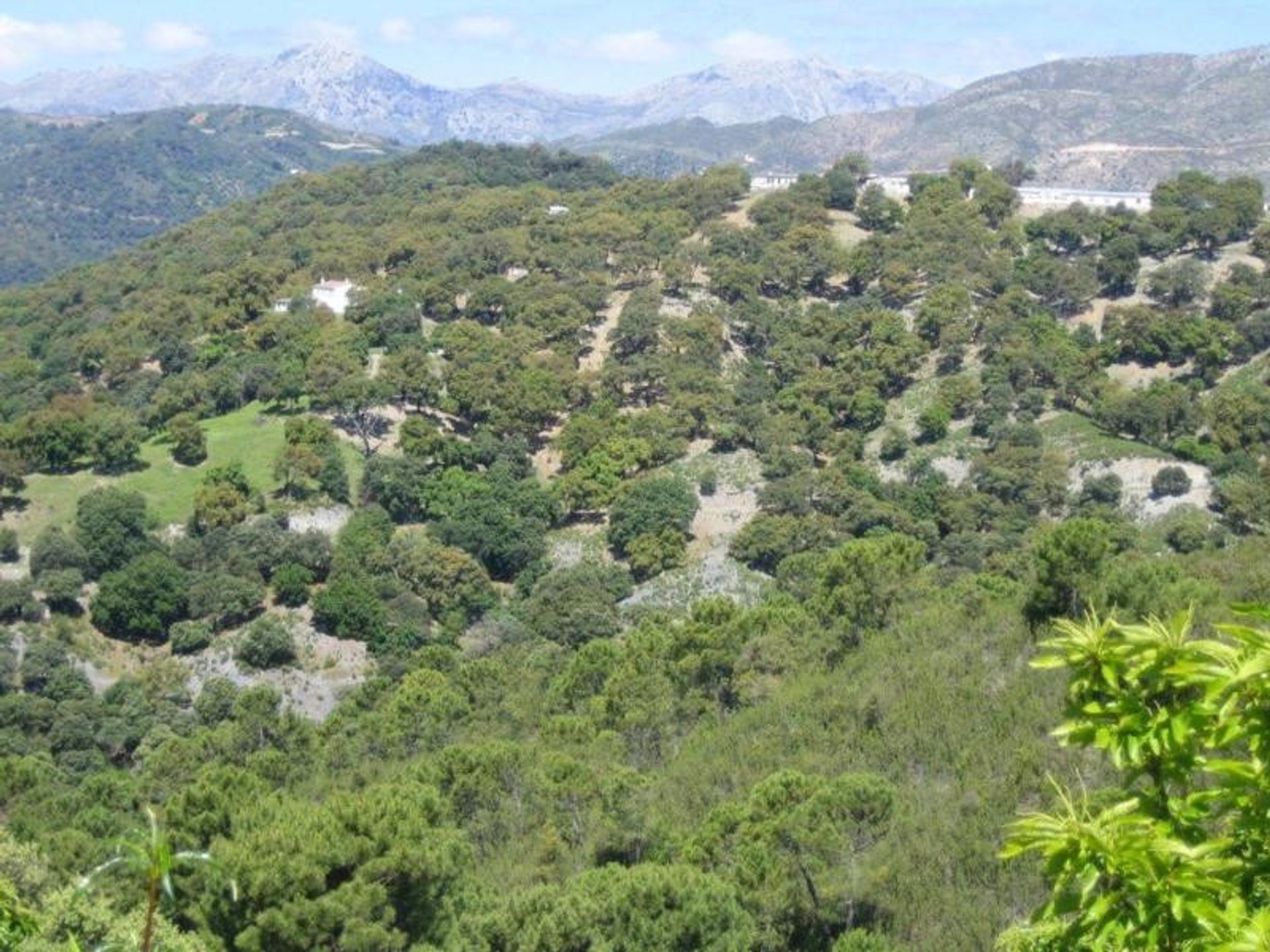 Land in Benalmádena, Andalucía 10699444