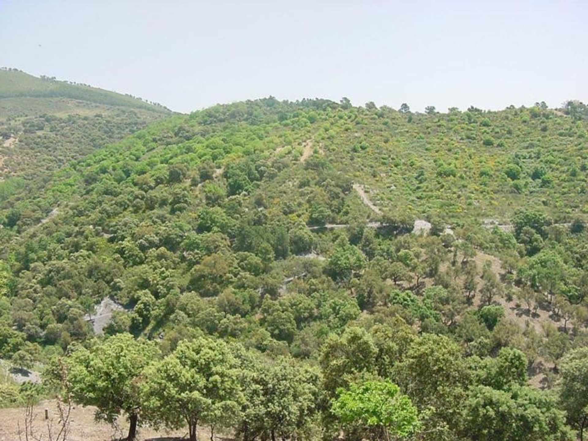 Land in Benalmádena, Andalucía 10699444