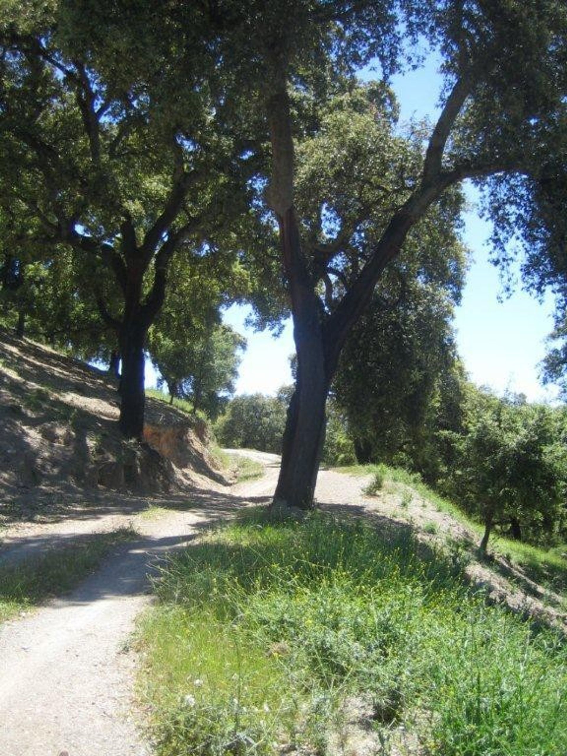 Land in Benalmádena, Andalucía 10699444