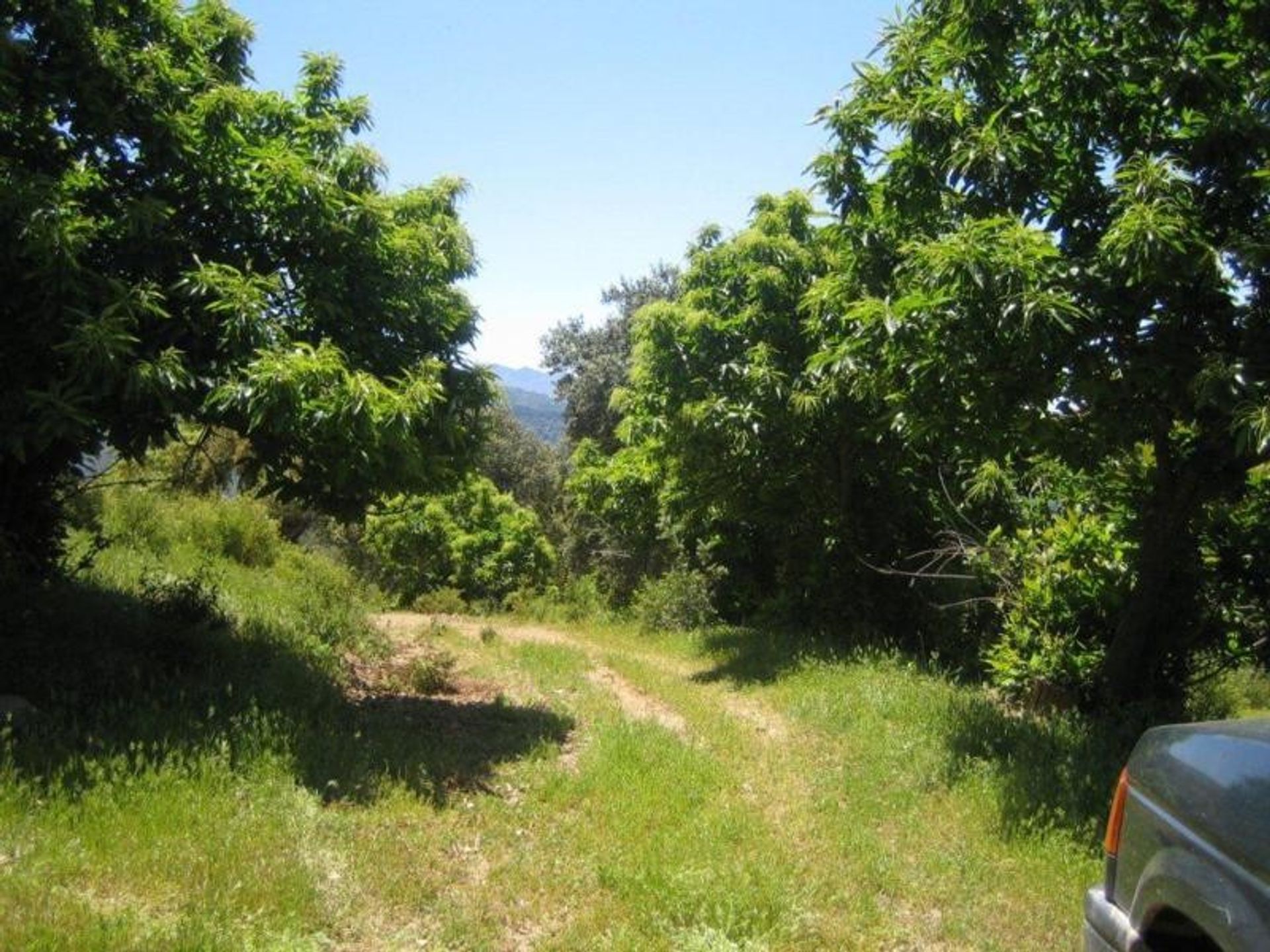 Land in Benalmádena, Andalucía 10699444